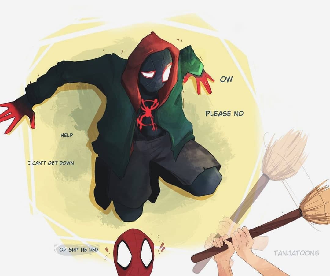 Spider-Man con felpa e scope, 1080x902 HD, Laptop