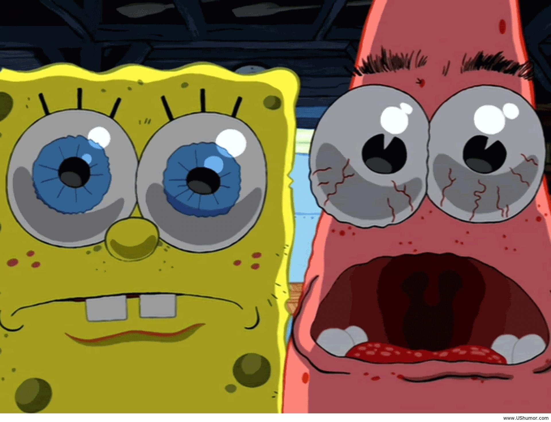 Divertenti di SpongeBob, 1024x768 HD, PC