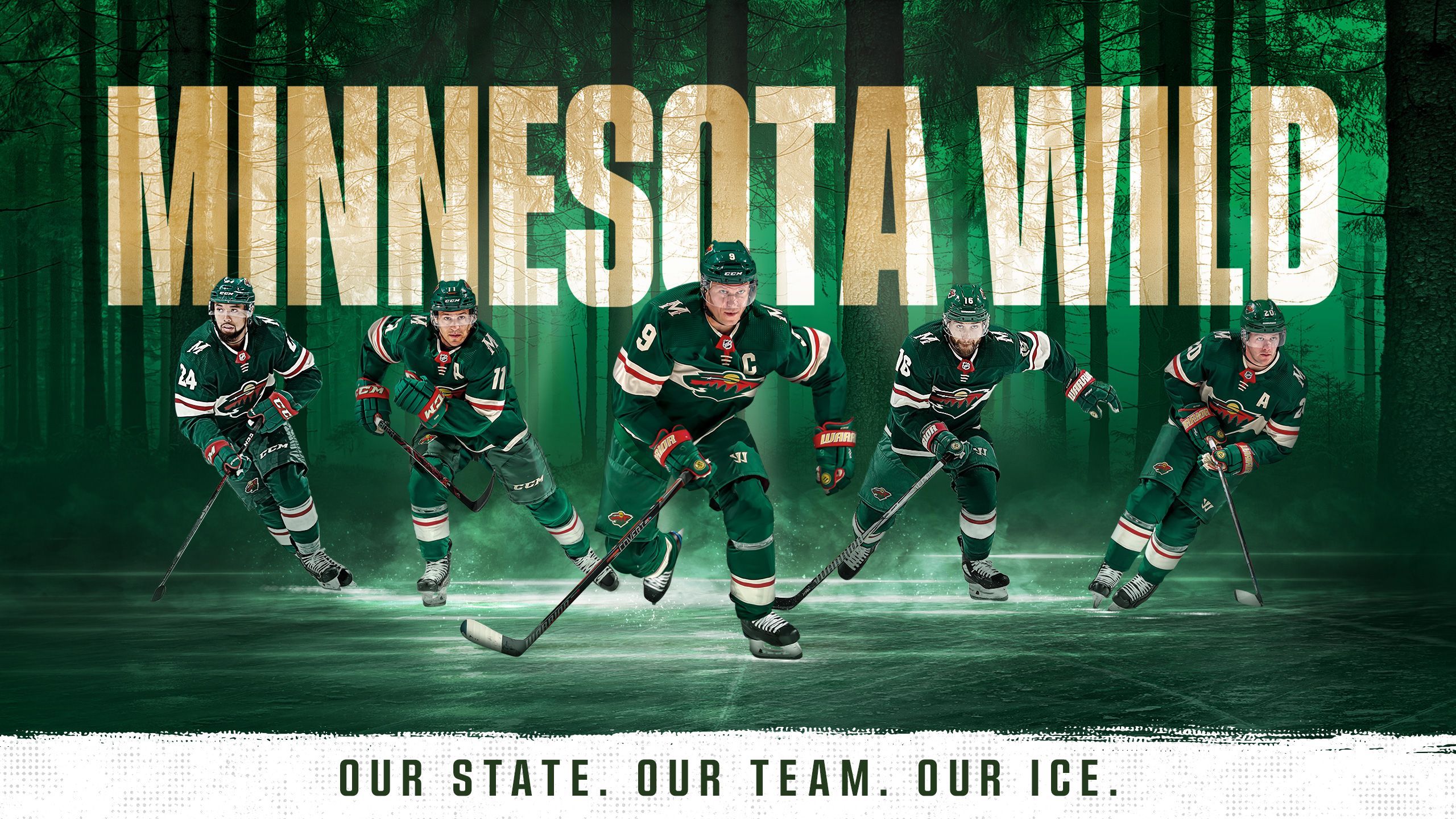 Minnesota Wild giocatori hockey, 2560x1440 2K QHD, PC