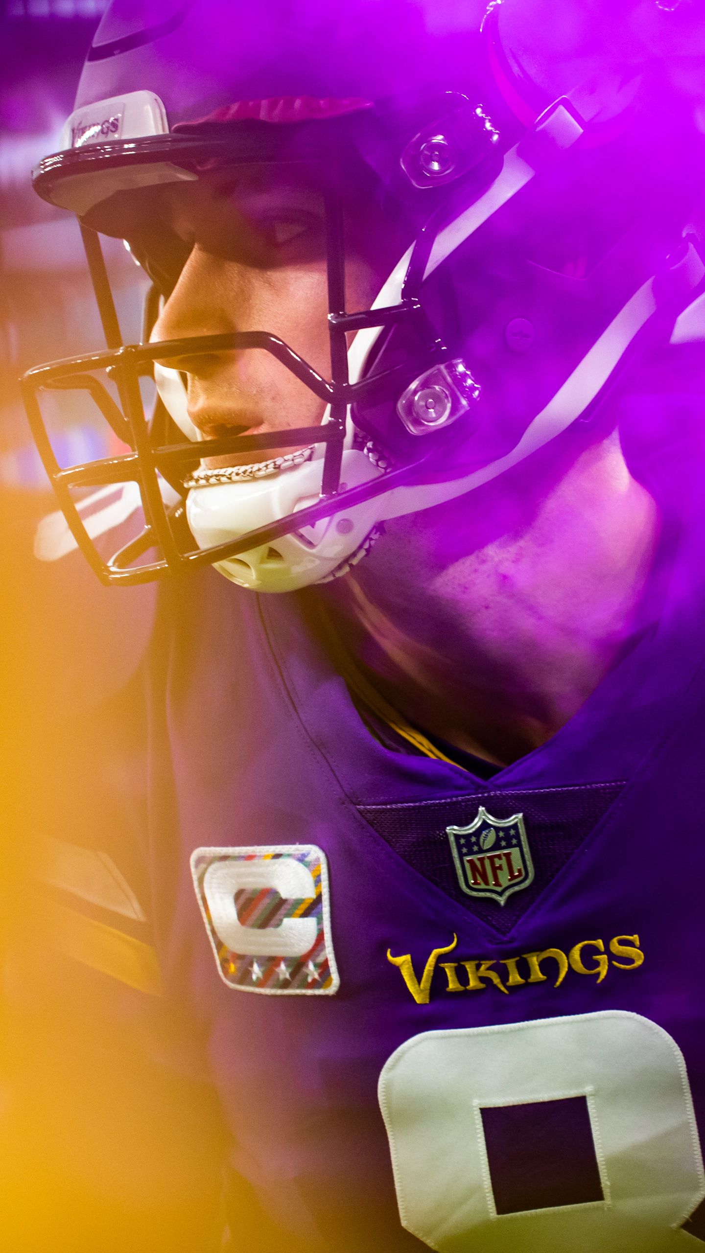 Logo Minnesota Vikings guerriero, 1920x1080 1080p, PC