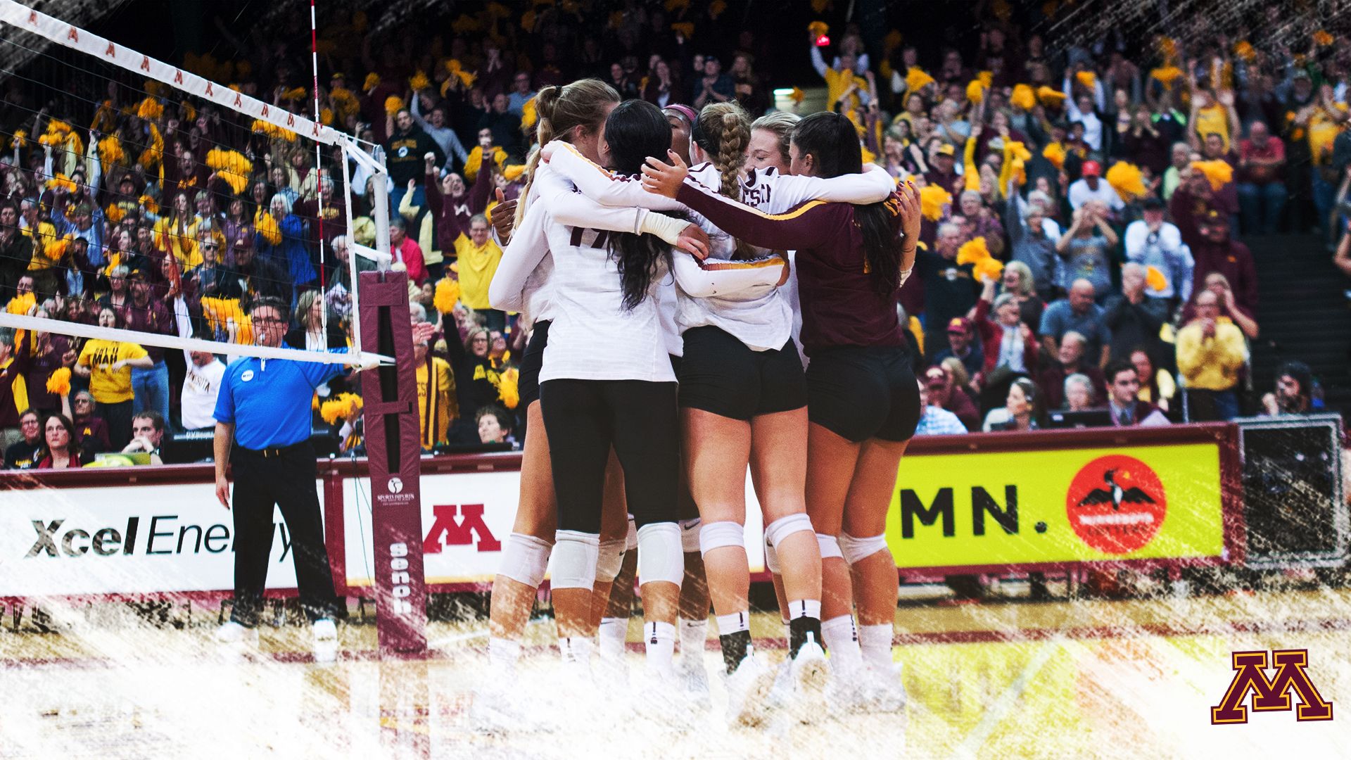 Squadra pallavolo Minnesota Gophers, 1920x1080 Full HD 1080p, PC Desktop