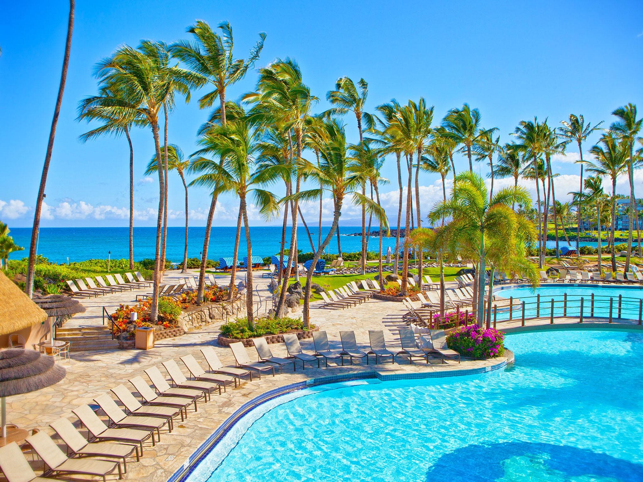 Resort tropicale con piscina, 2048x1536 alta risoluzione, PC