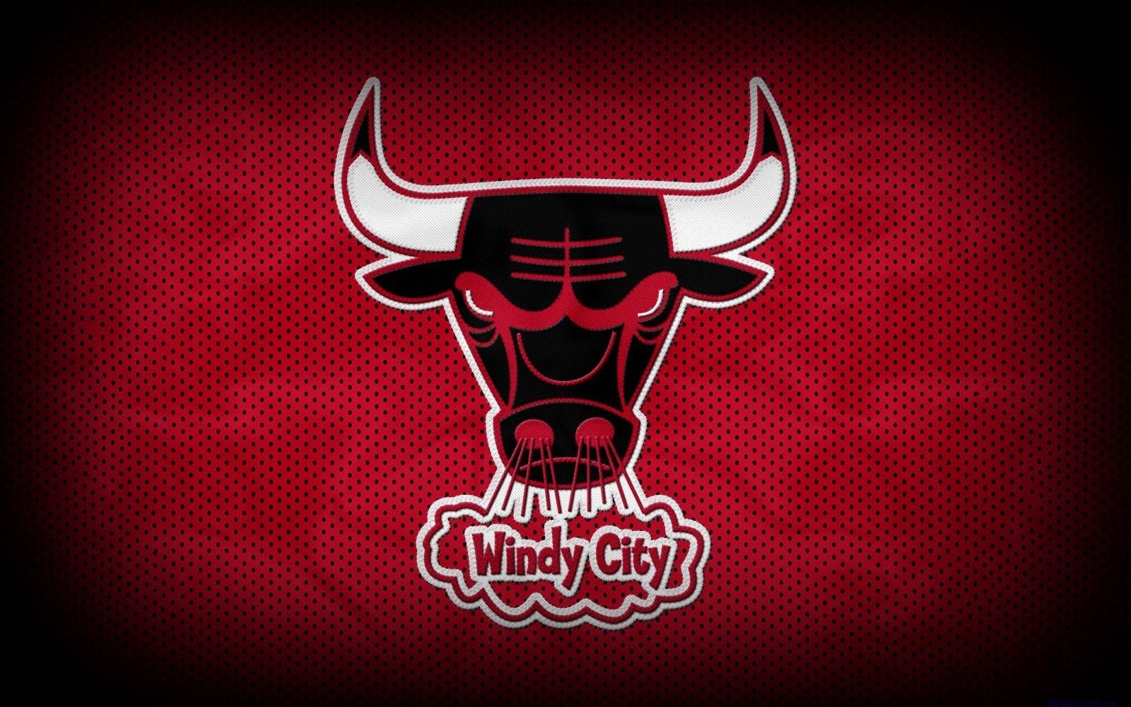 Logo Chicago Bulls testa toro, NBA, 1600x1000 HD, Desktop