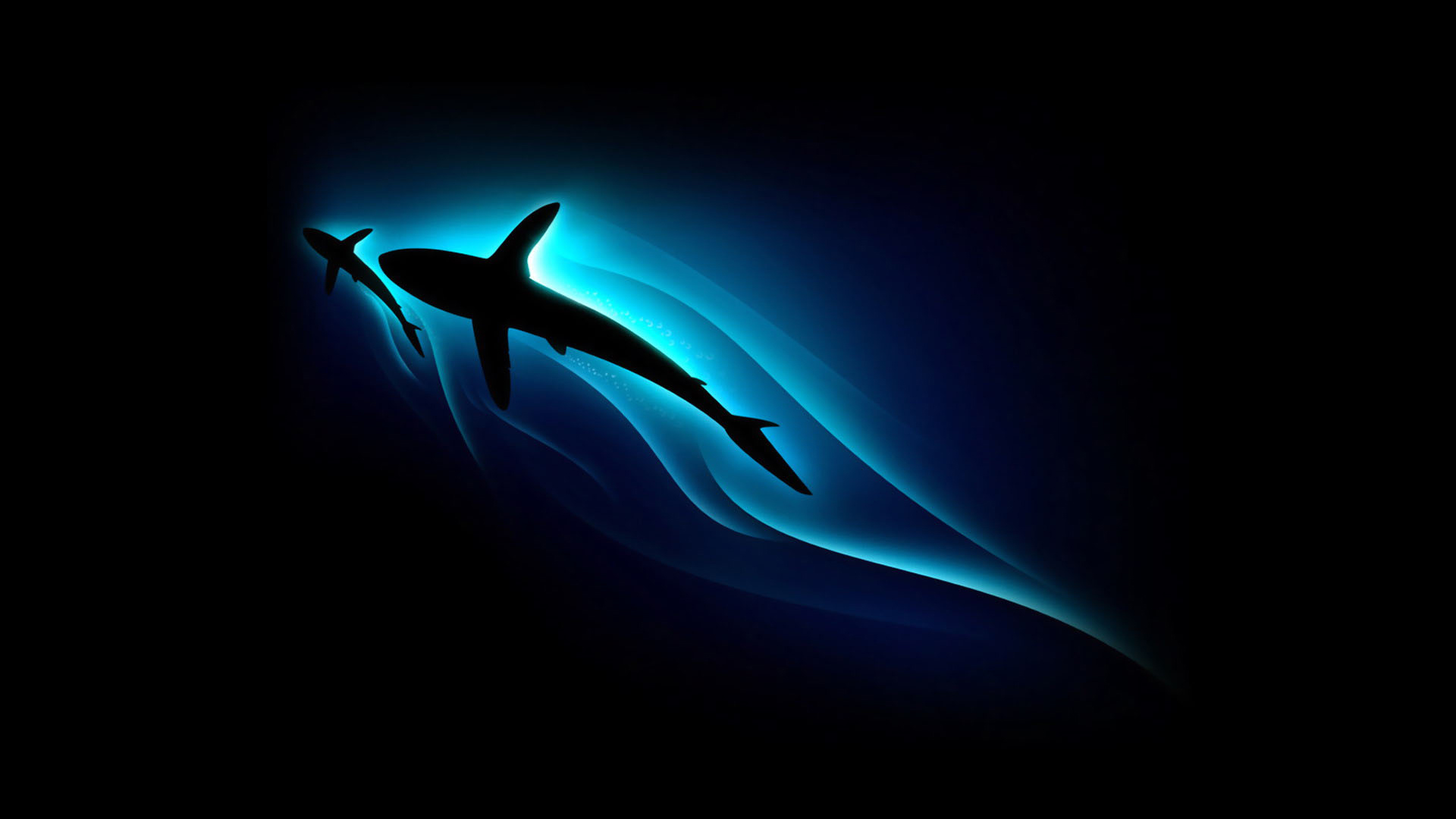 Squalo silhouette blu scuro, 1920x1080 Full HD, Laptop