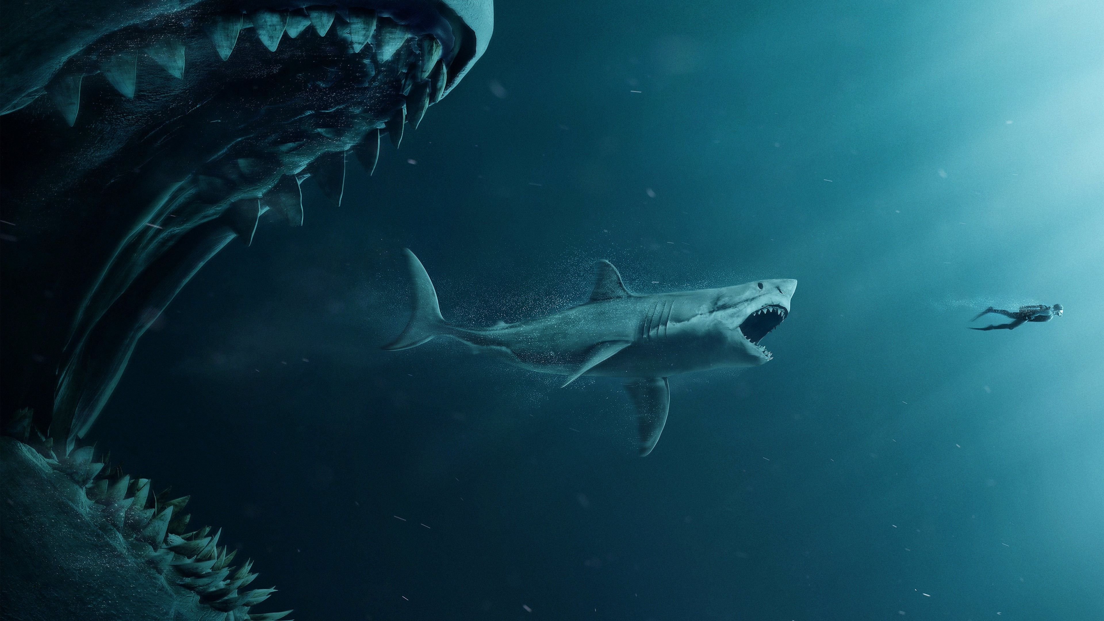 Megalodonte e squalo subacqueo, 3840x2160 Ultra HD, 4K TV