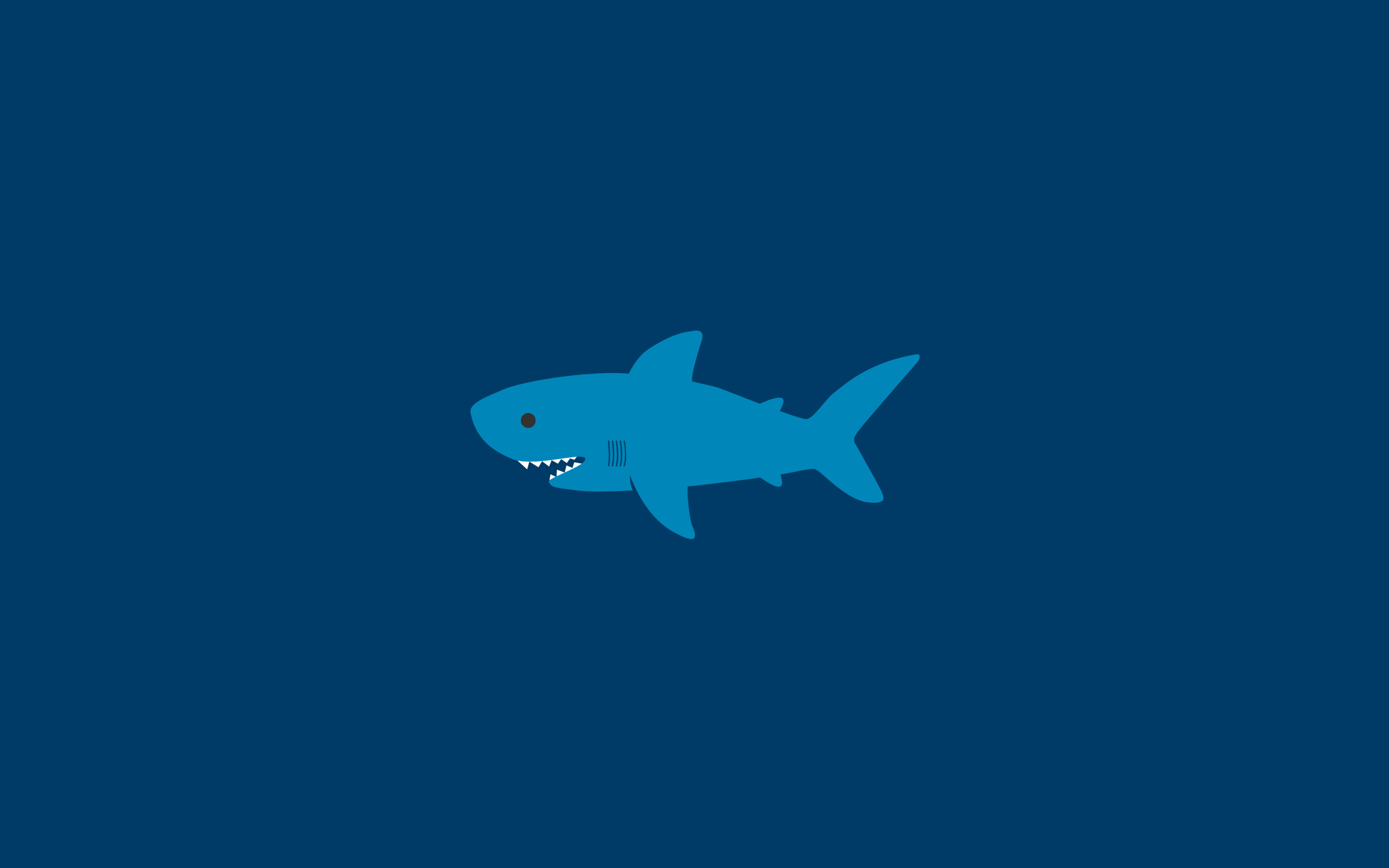 Squalo minimalista blu, 2560x1600 2K+, MacBook Pro