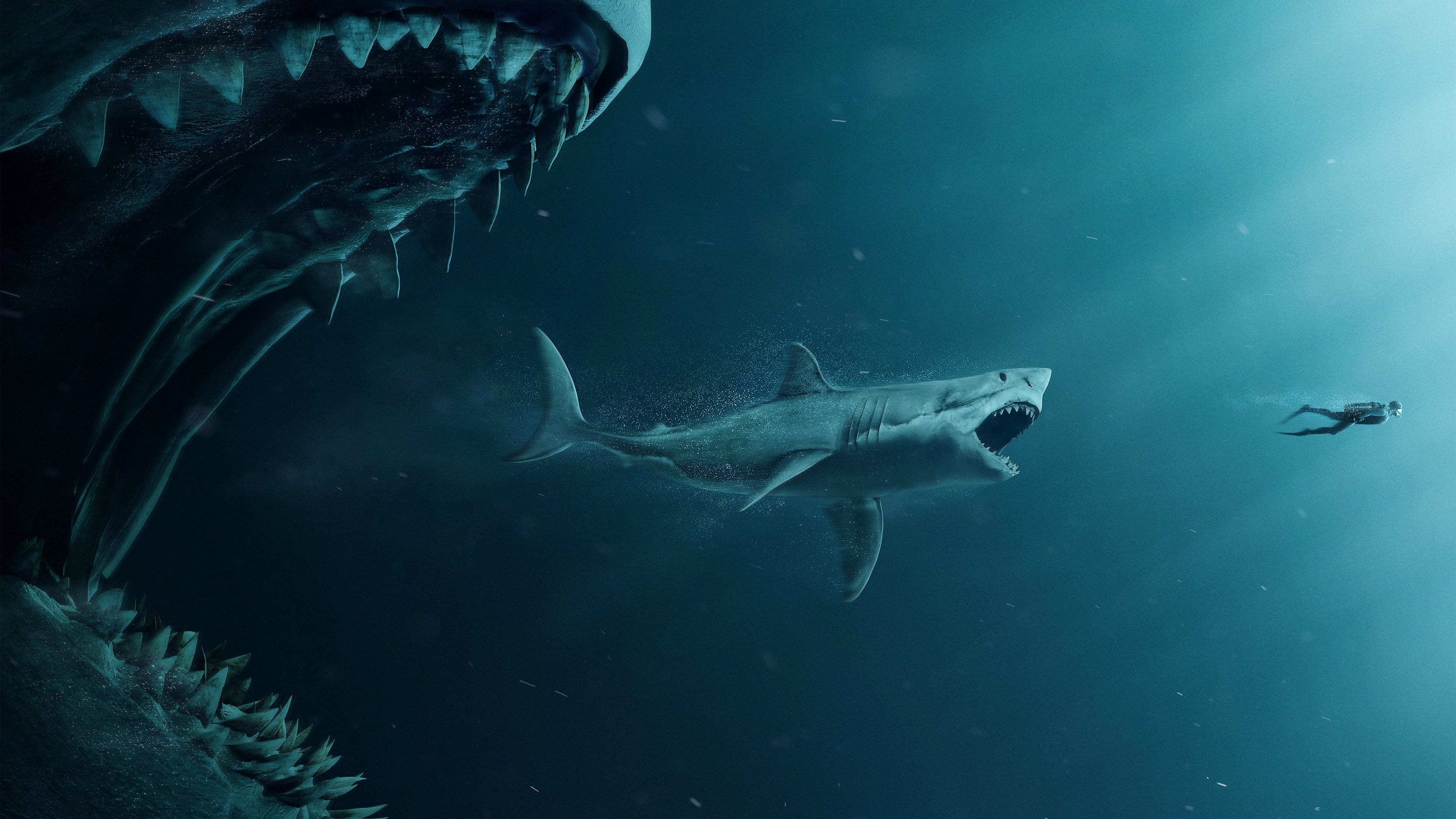 Squalo gigante Meg oceano, 3840x2160 4K, Monitor 4K