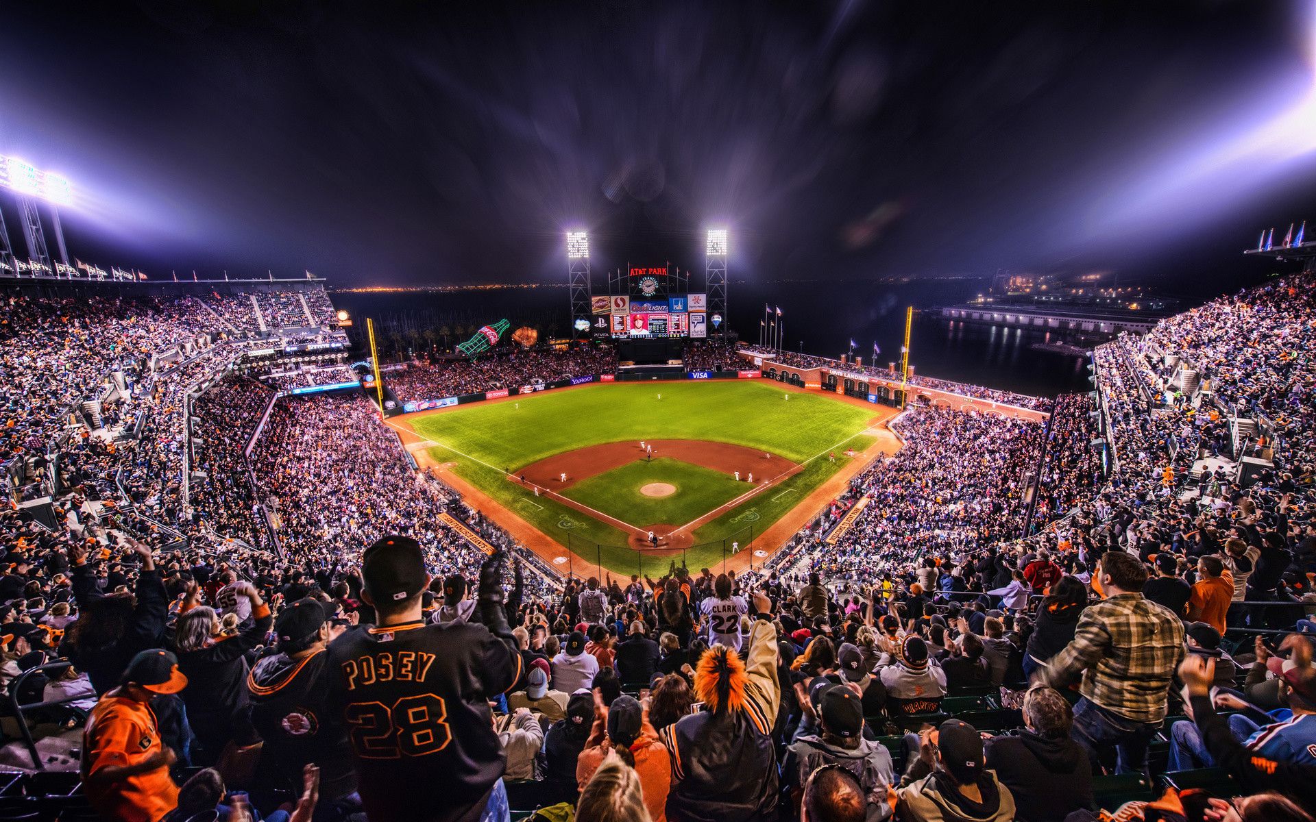Stadio baseball affollato notturno, 1920x1200 Full HD+ WUXGA, Laptop