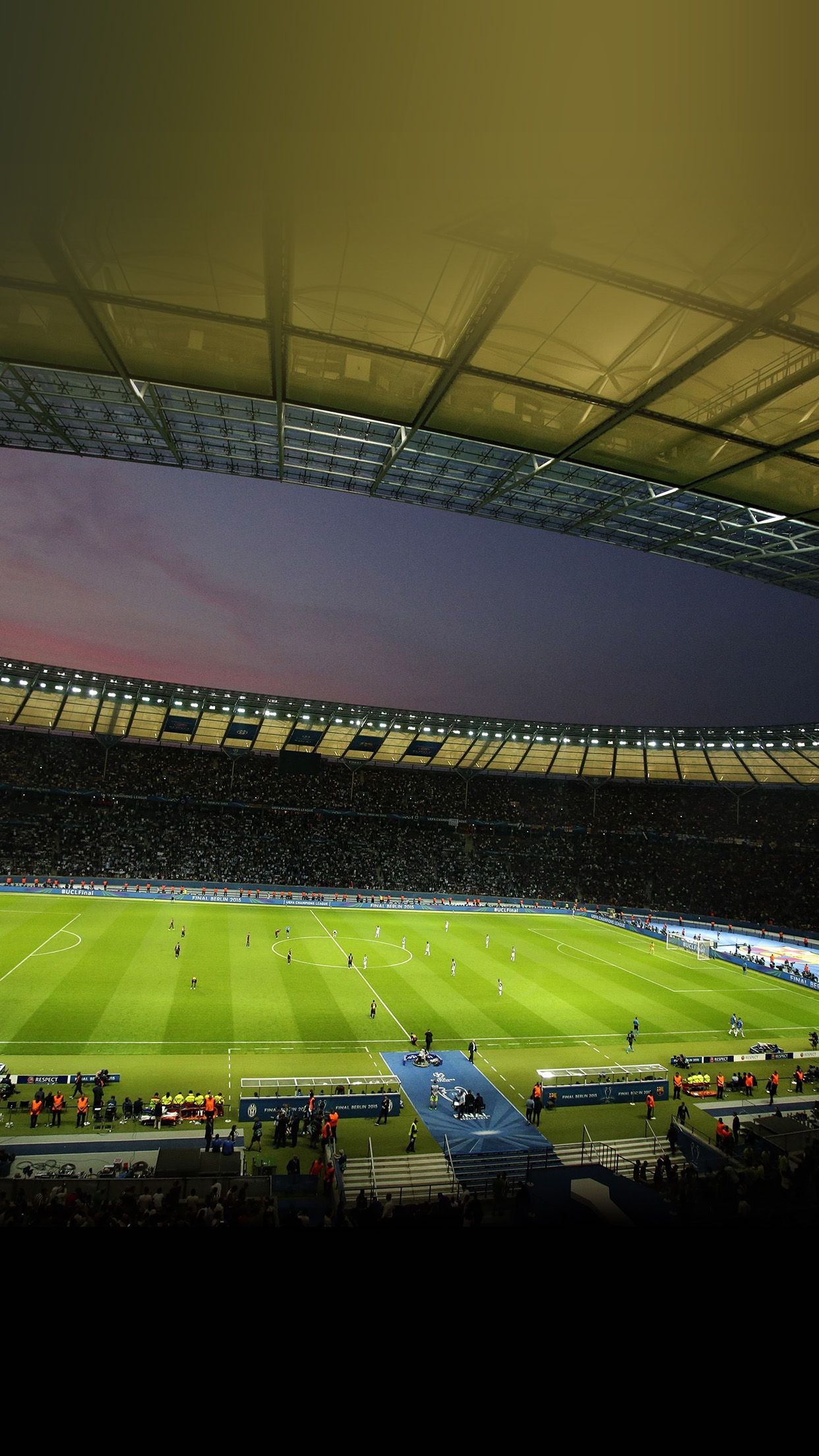 Stadio Champions League Heineken verde, 1440x900 HD, Desktop