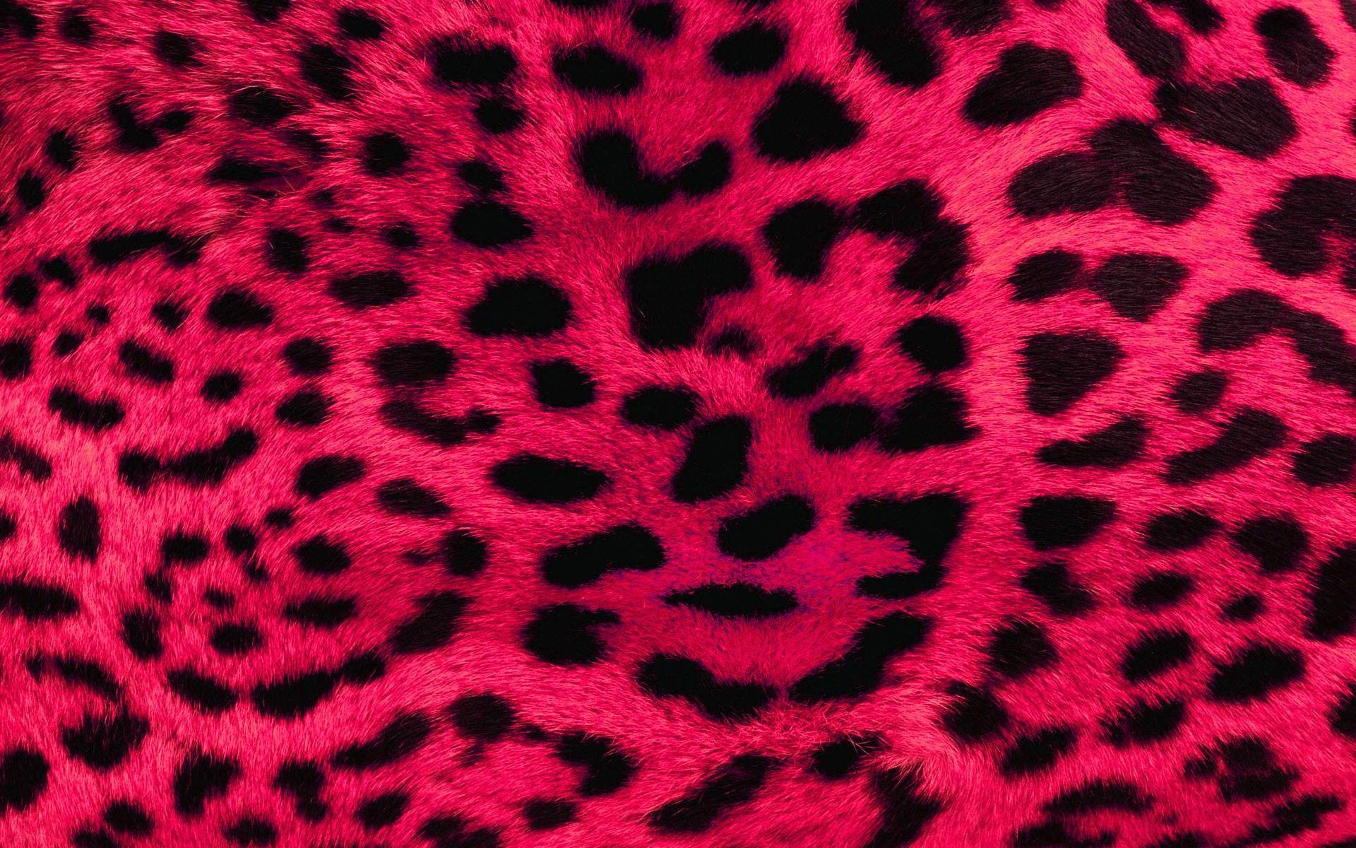Stampa leopardo rosa neon, 2048x1536 Hi-Res, Laptop