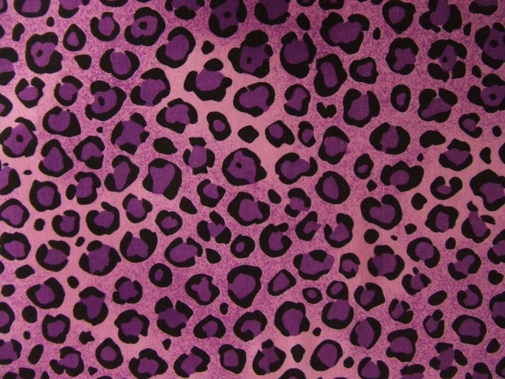 Stampa zebra rosa neon, 1700x1000 HD Ready, Desktop