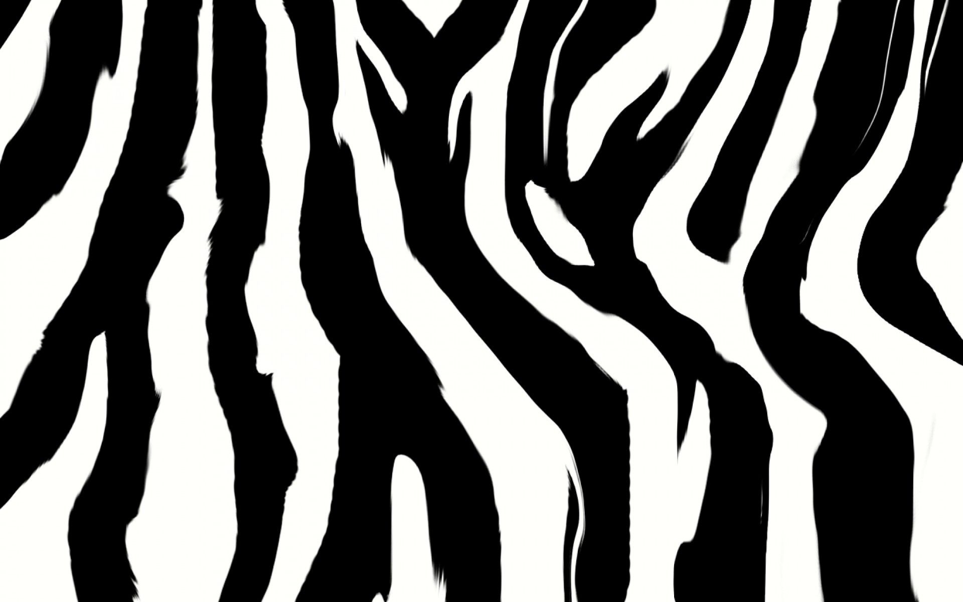 Stampa leopardata viola neon, 1024x768 HD, PC Desktop