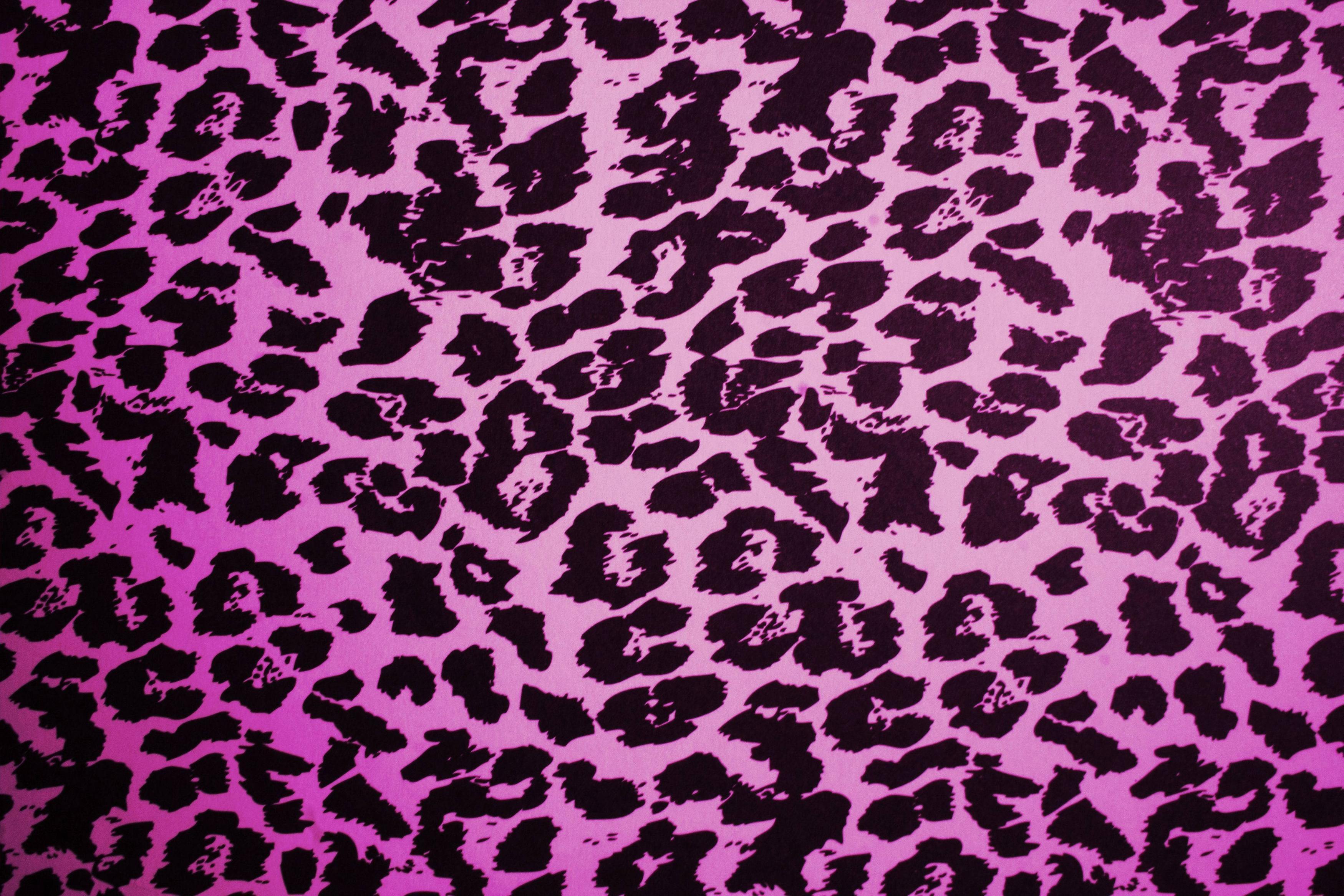 Stampa zebra bianco nero, 1920x1200 Full HD+, Desktop