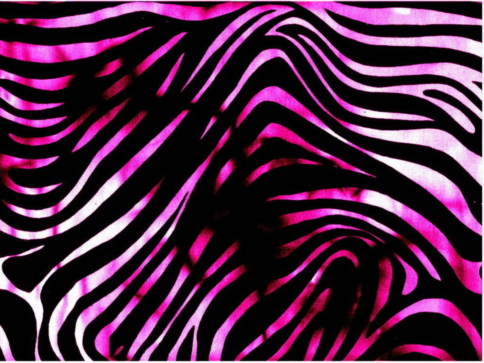 Stampa zebra rosa neon, 1600x1200 900p, Desktop