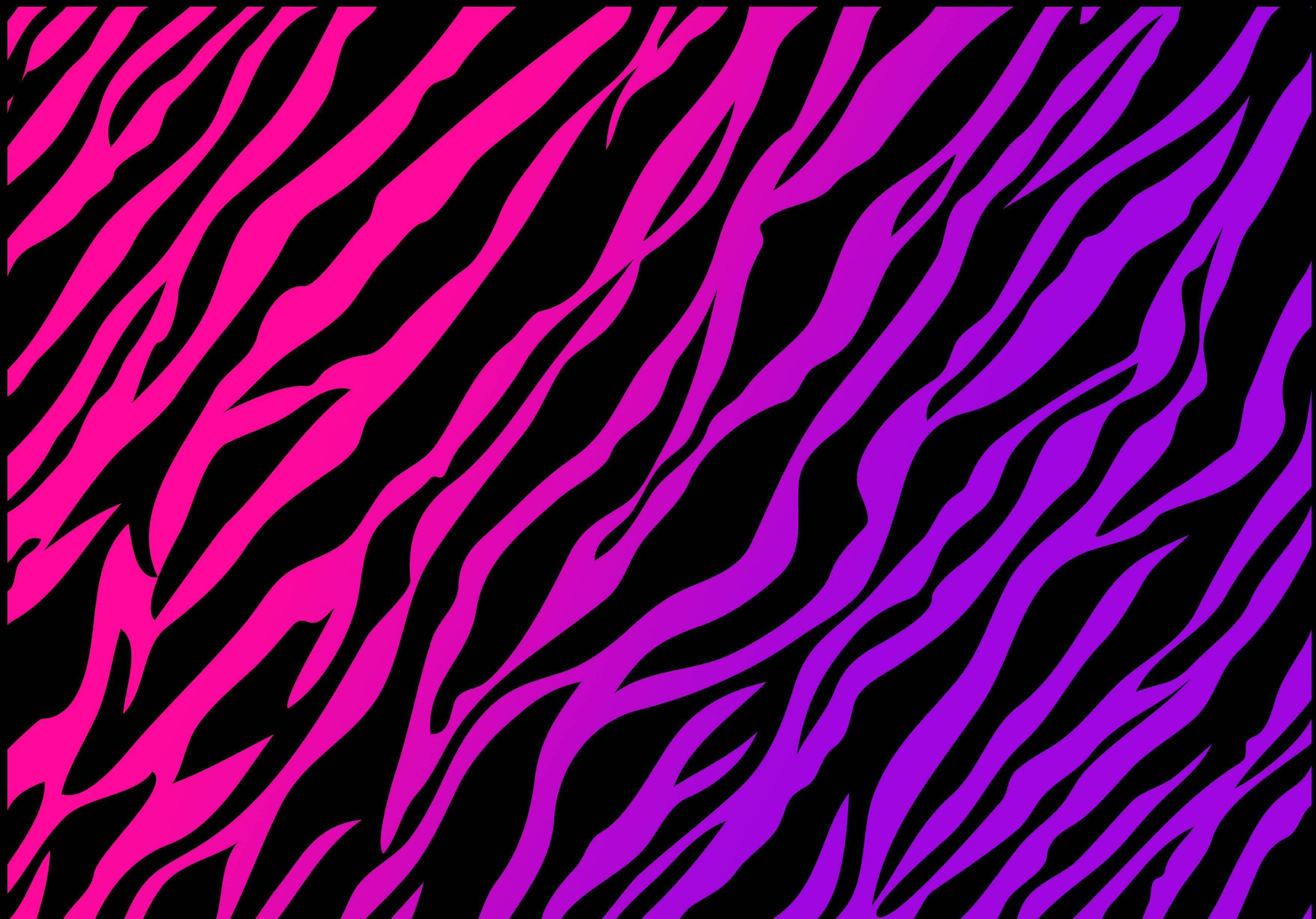 Stampa zebra viola e rosa neon, 2880x1800 WQXGA, Desktop