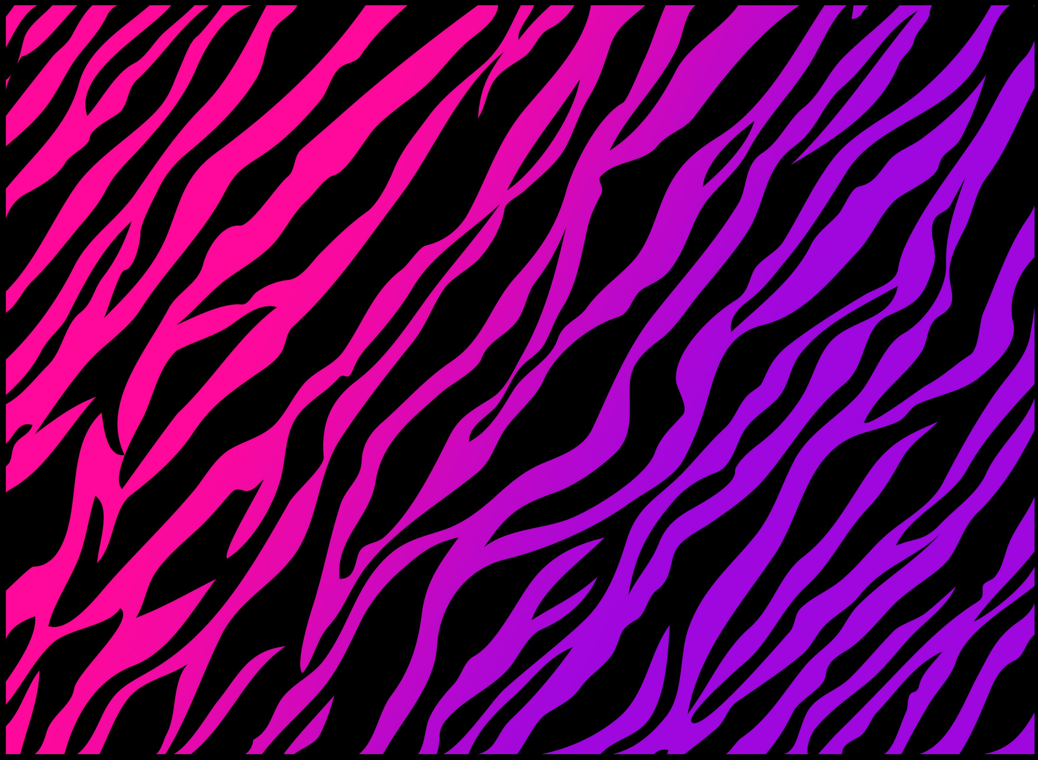 Stampa zebrata rosa e viola, 3516x2574 2K, Laptop