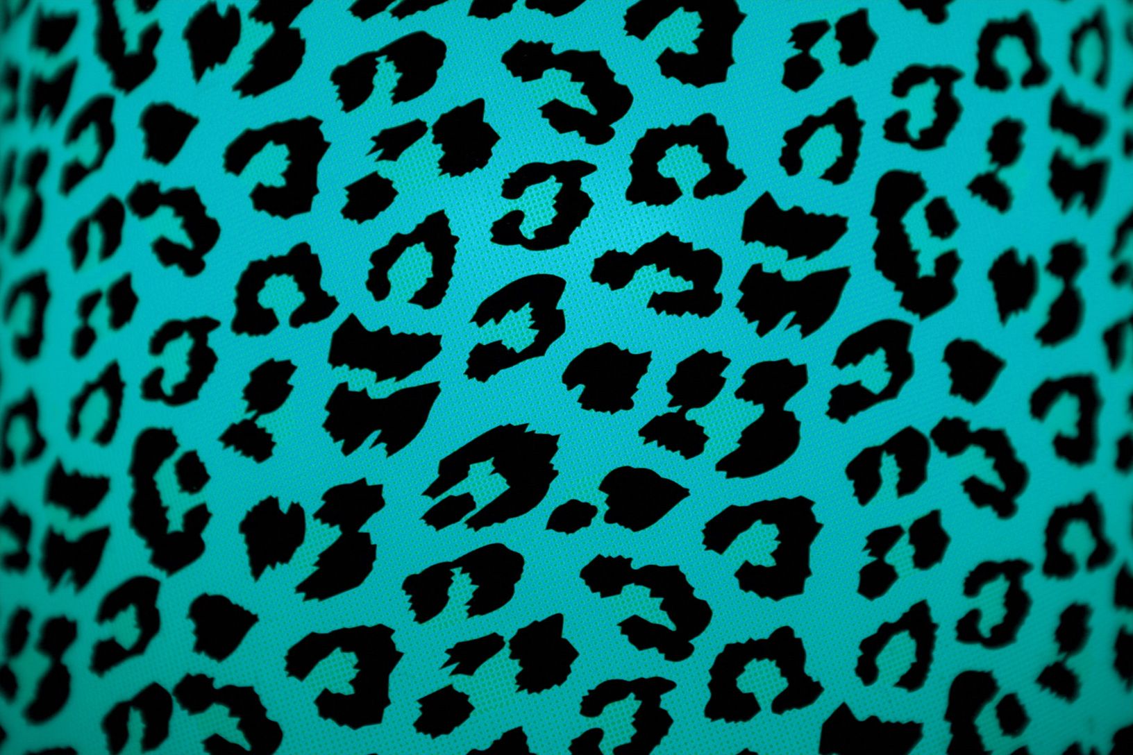 Stampa leopardata turchese e nera, 1632x1088 HD Ready, Desktop