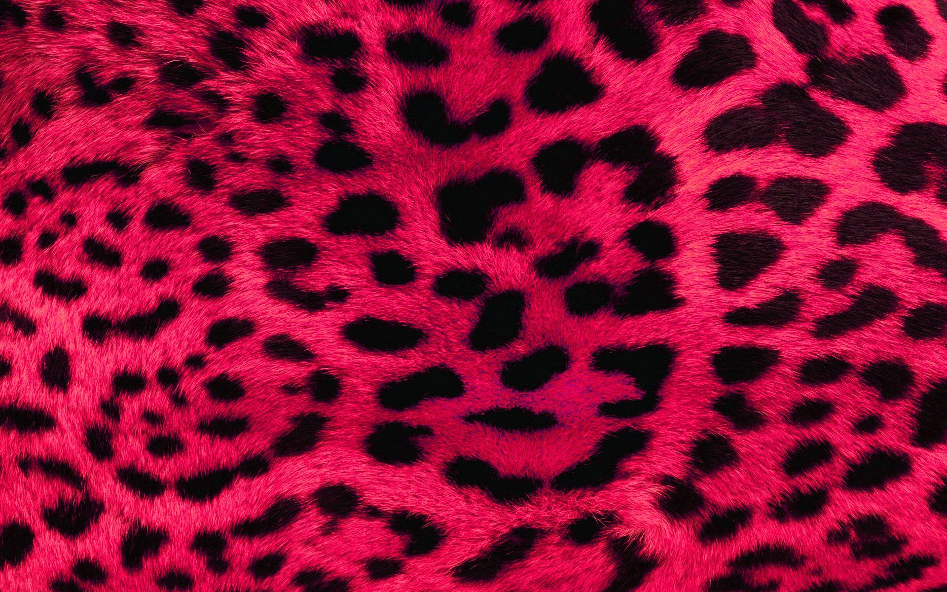 Stampa leopardata rosa fucsia, 1920x1200 WUXGA, PC