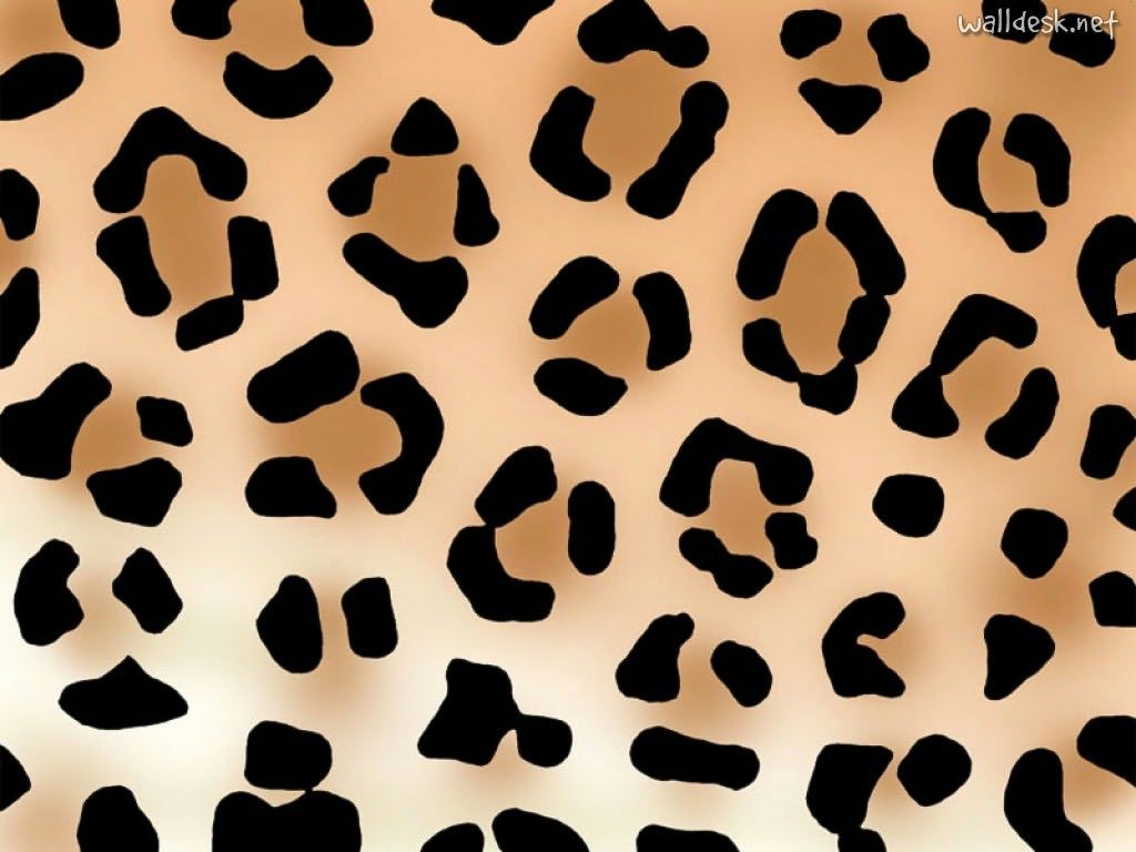 Pelliccia leopardata bianco nero, 2594x1888 2K, PC