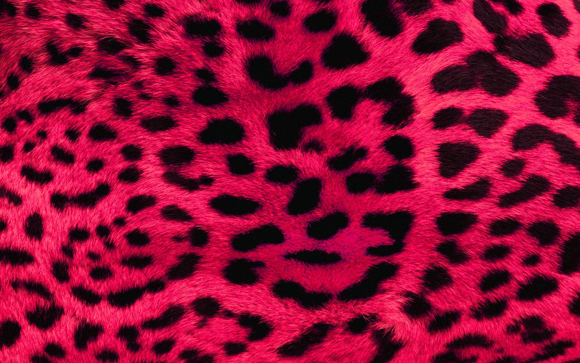 Stampa leopardata marrone scuro, 1024x1024 HD, Monitor Gaming