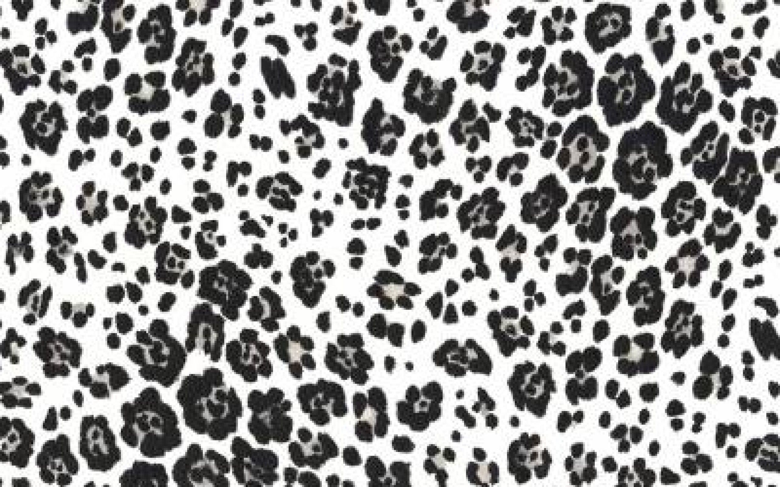 Stampa leopardata arancione nera, 2711x1807 2K+, PC Desktop