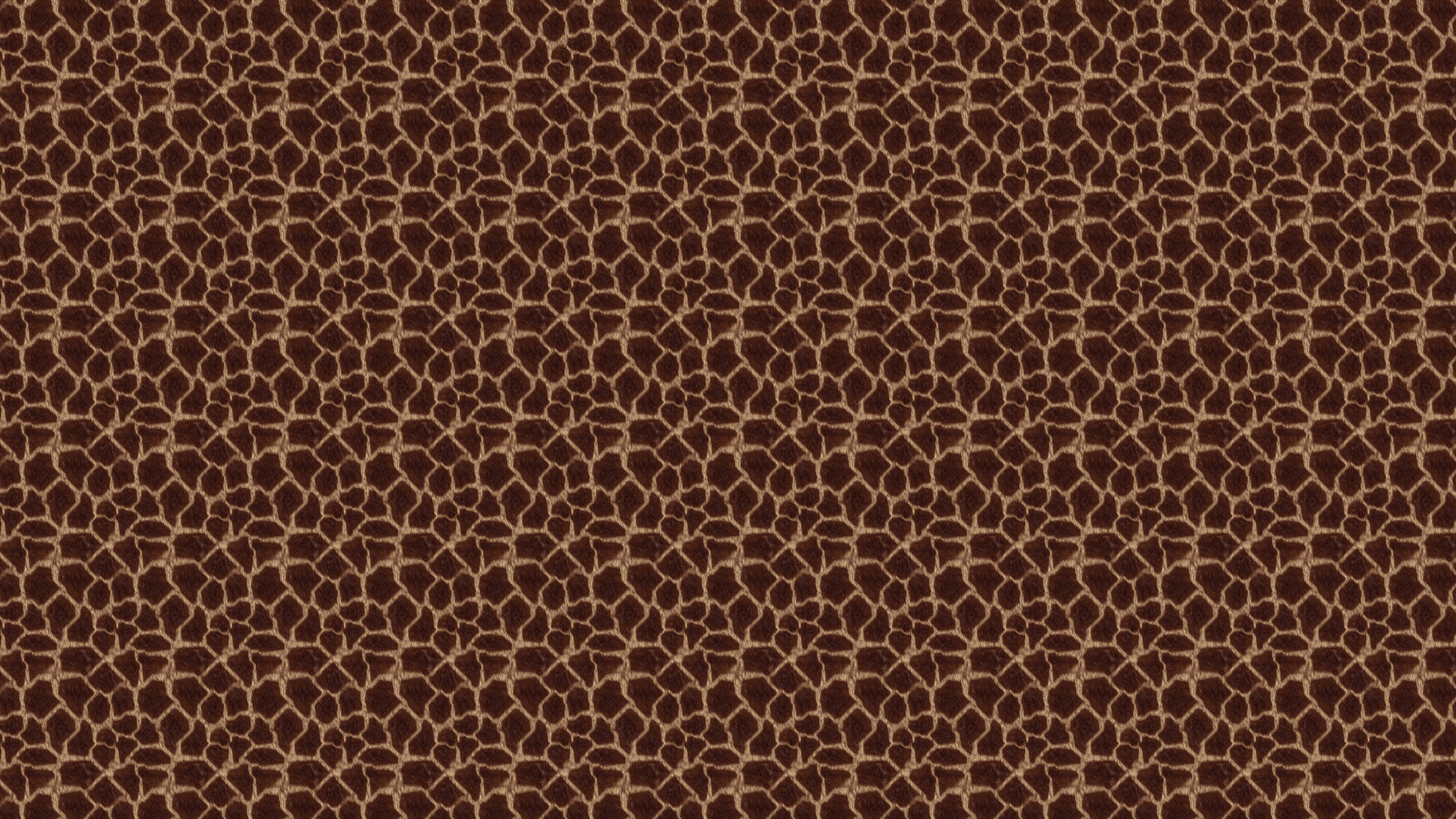 Stampa animalier leopardata marrone, 1600x1200 HD, Monitor Gaming
