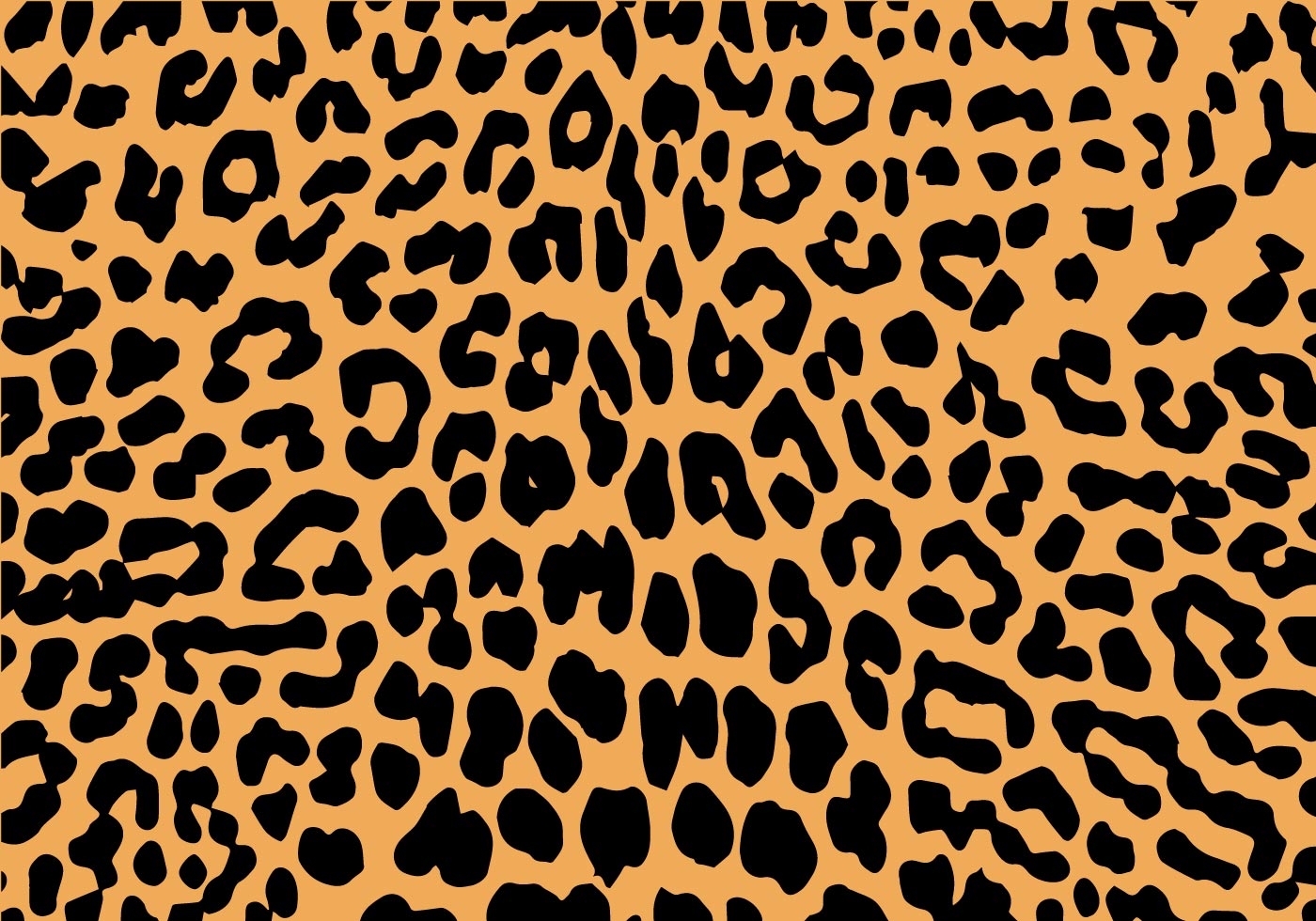 Motivo leopardato bianco e nero, 1024x1024 HD, Desktop
