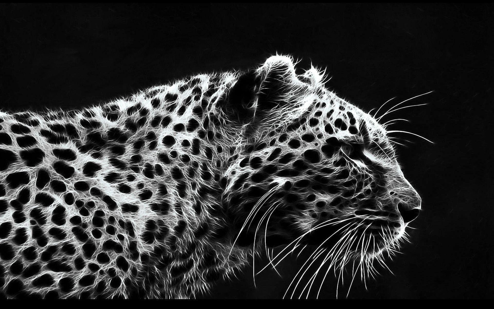 Strisce di zebra bianco nero, 2969x1650 WQXGA, PC