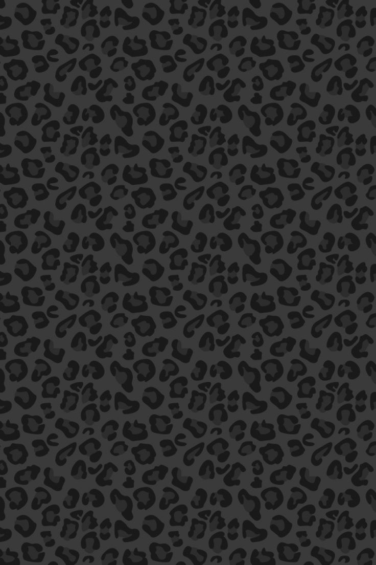 Leopardo bianco e nero, 1920x1200 WUXGA, Desktop