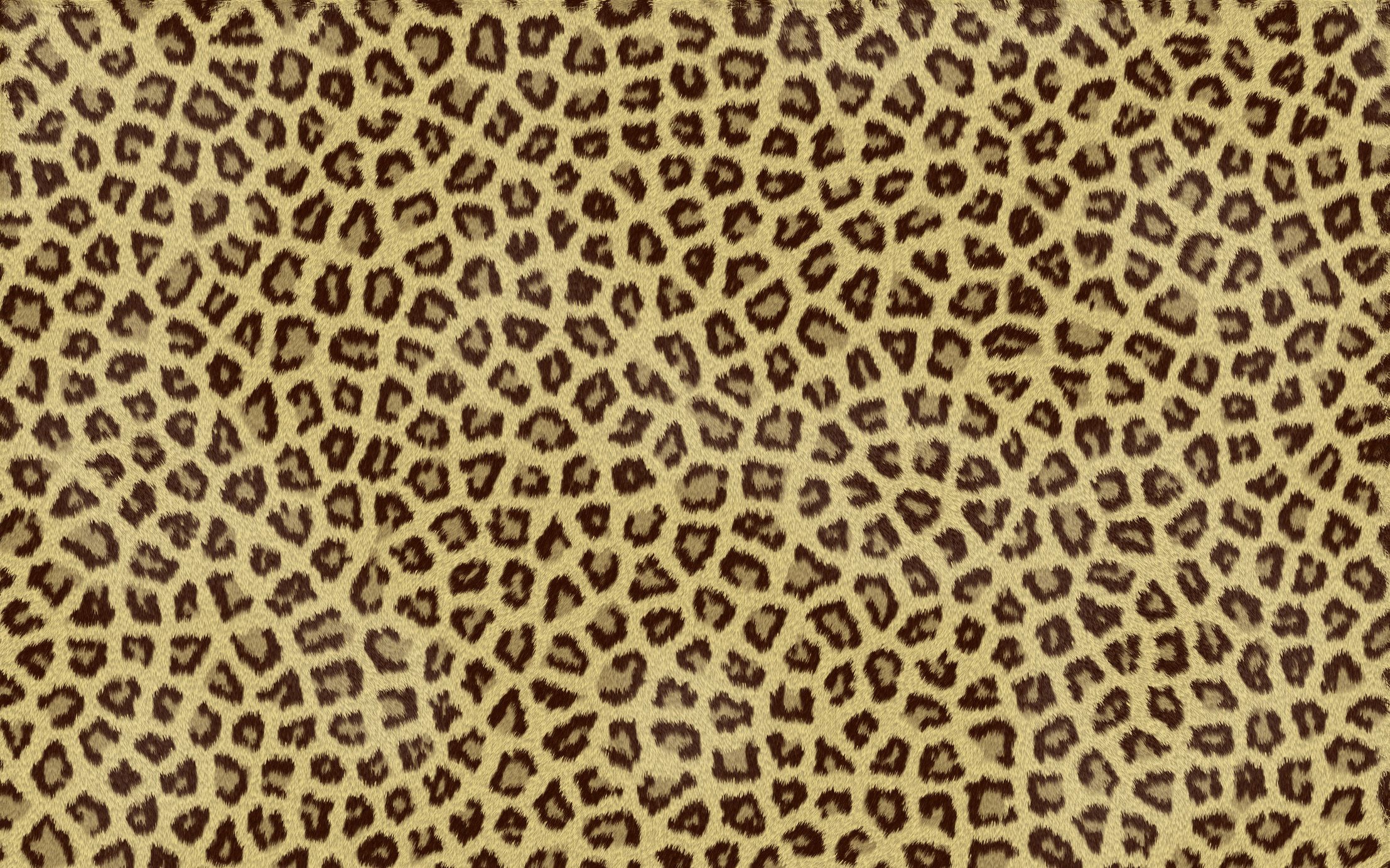 Stampa leopardata marrone nera, 1920x1080 1080p, PC