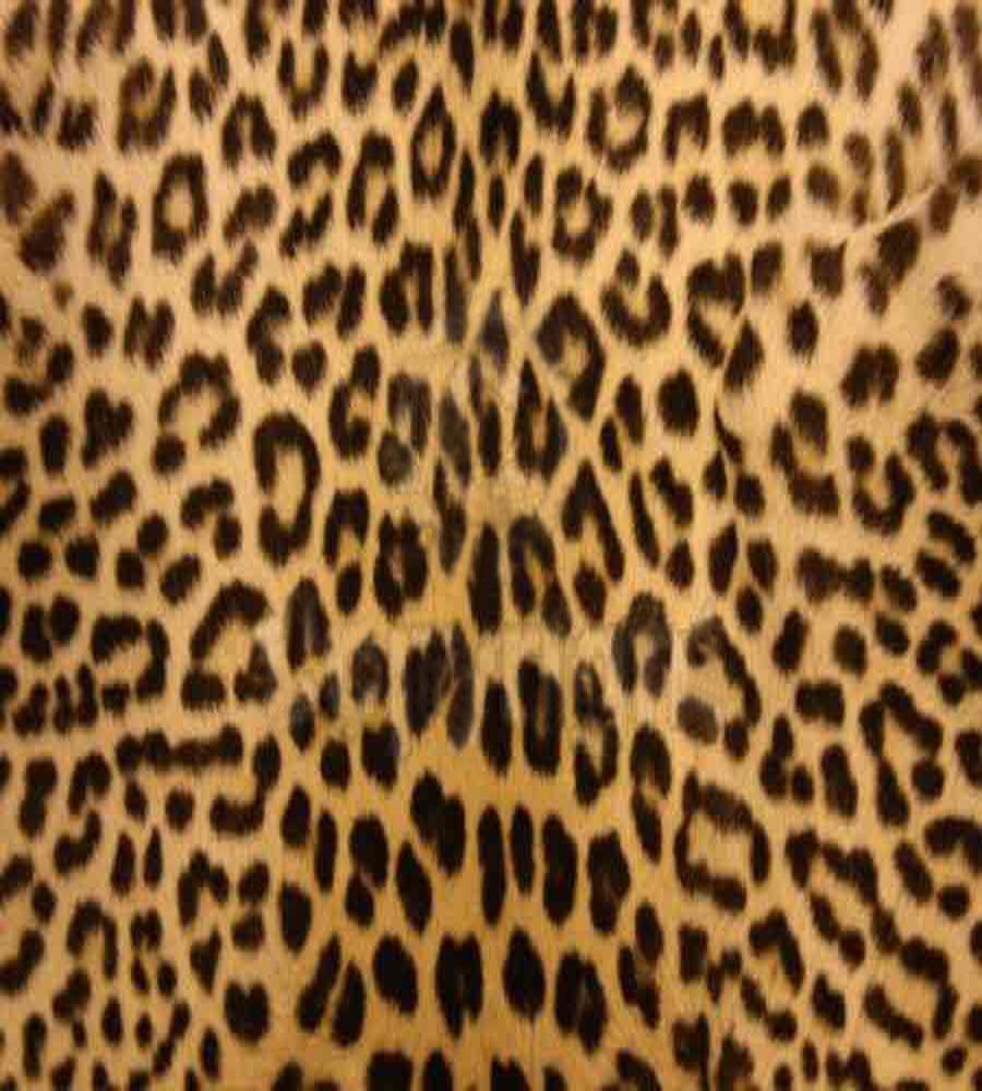 Stampa leopardata rosa e nera, 3499x2333 2K, Desktop