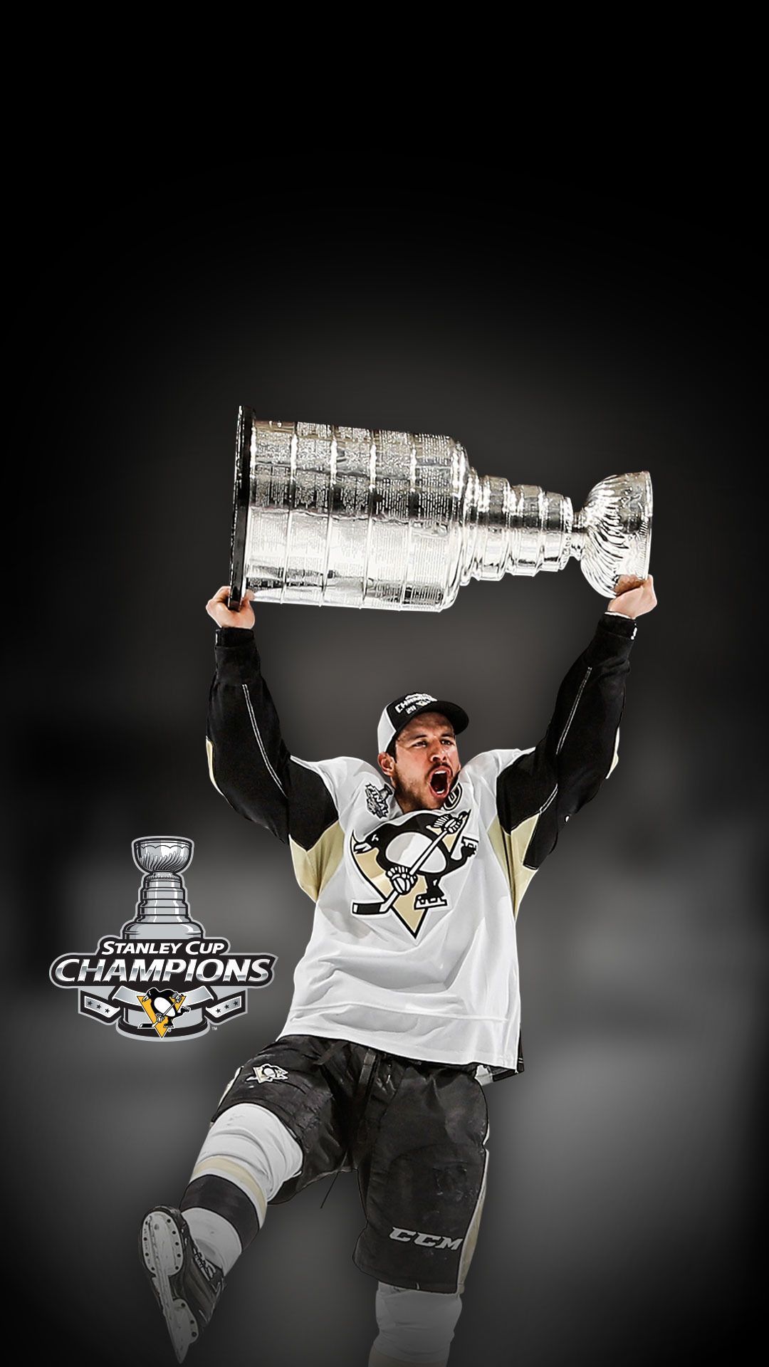Coppa Stanley trofeo hockey, 1332x850 HD, Desktop