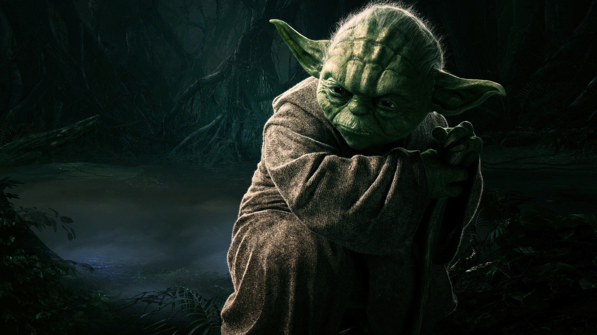 Yoda Star Wars foresta scura, 1920x1080 Full HD 1080p, PC Desktop