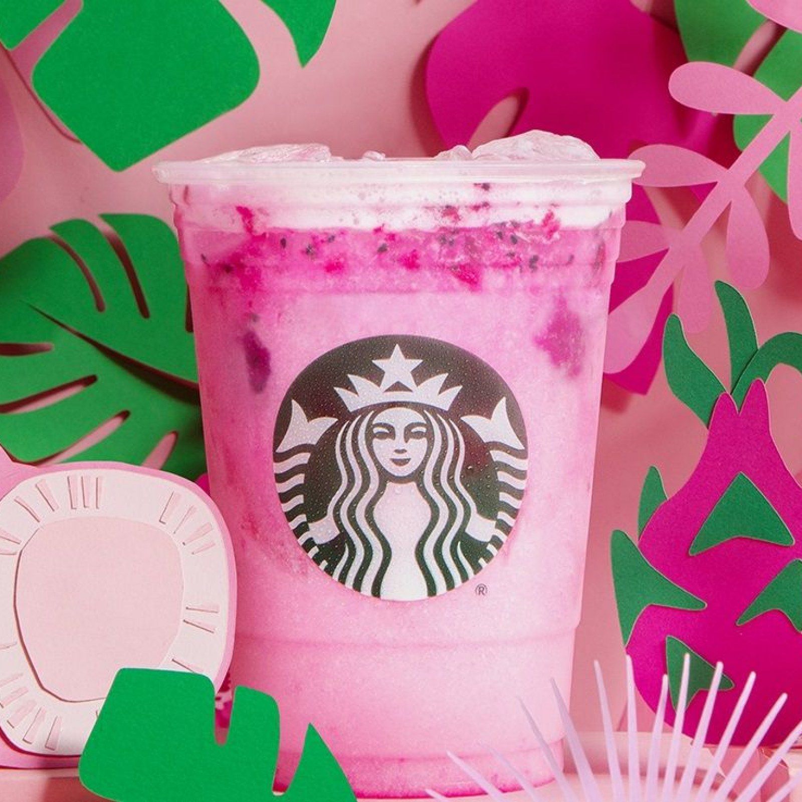 Starbucks Dragon Drink rosa, 1600x1600 900p, Desktop