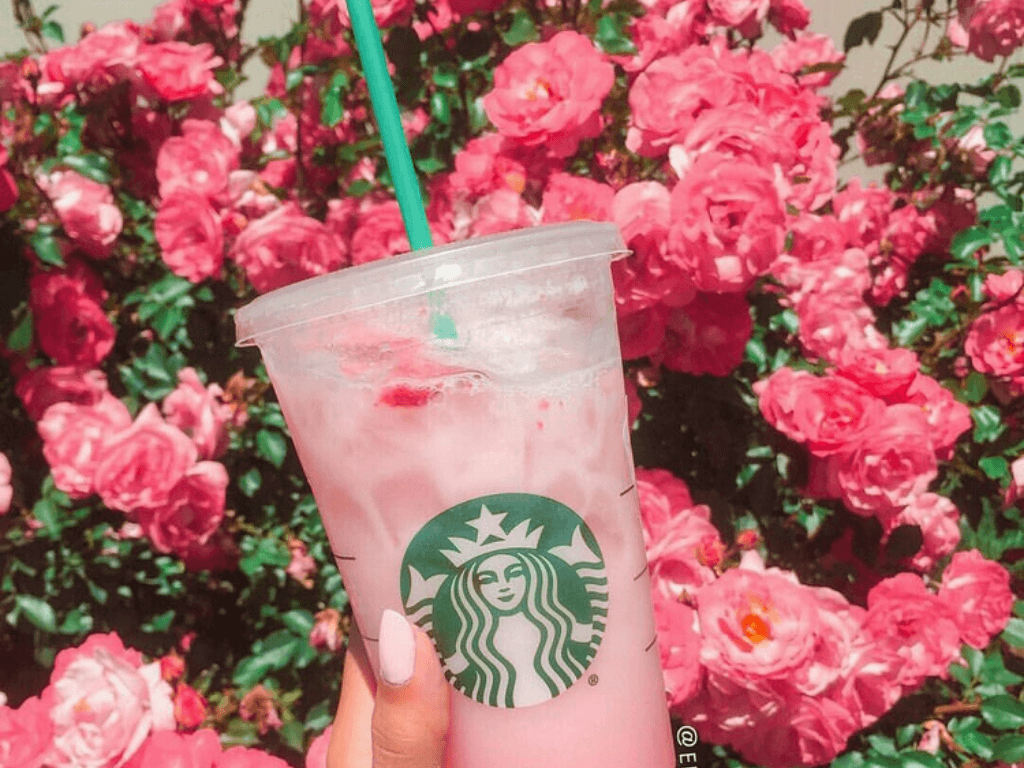 Bevanda Starbucks rosa con rose, 1024x768 HD, PC