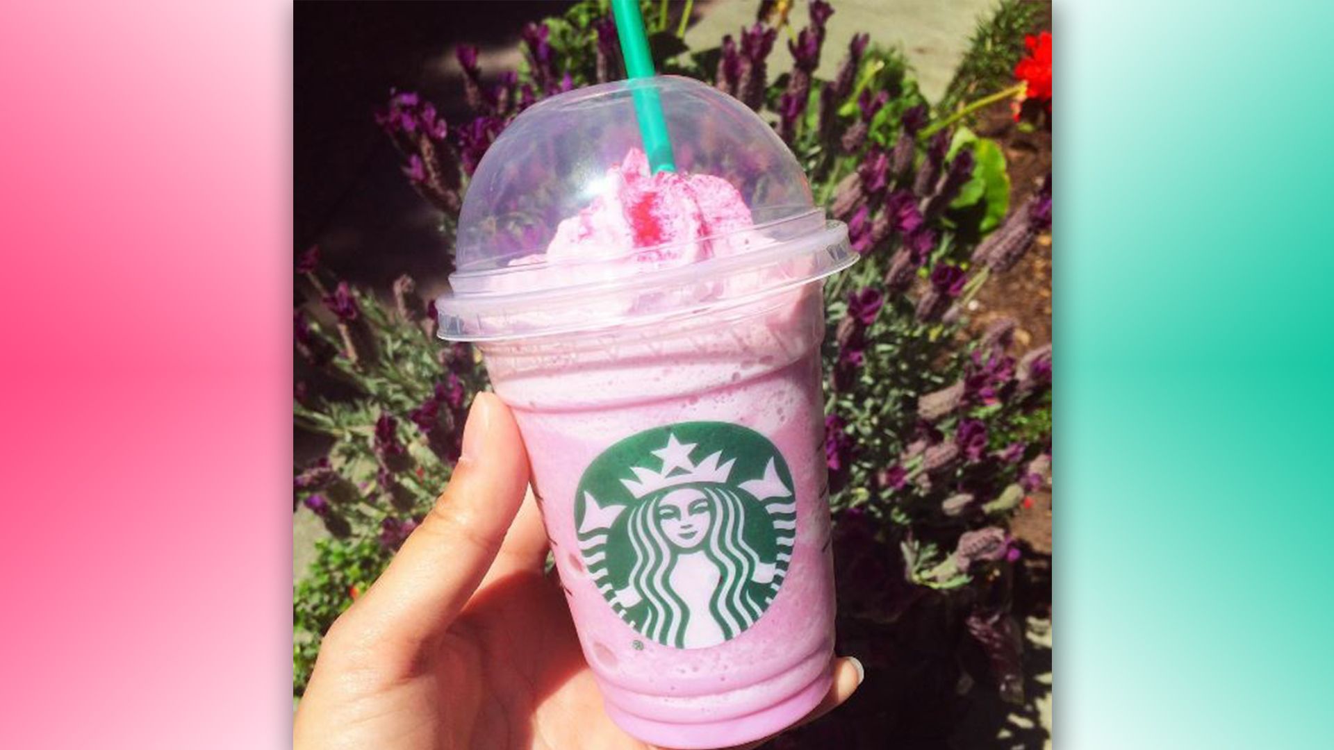 Bicchieri Frappuccino Starbucks panna, 2048x1075 2K, iMac