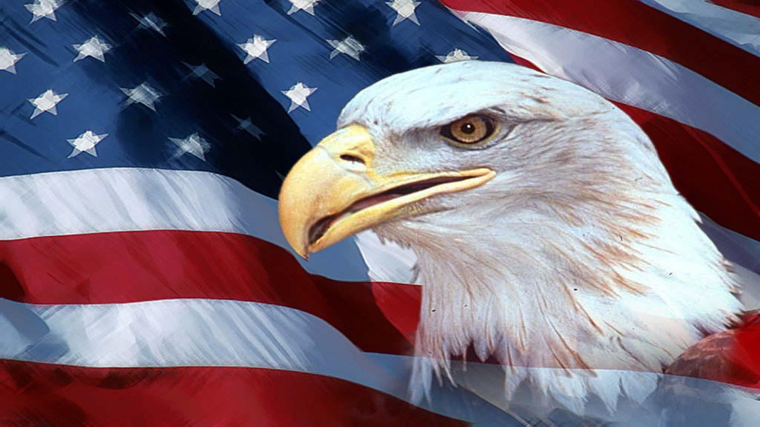 Aquila calva e bandiera americana, 2560x1440 2K QHD, Monitor Gaming