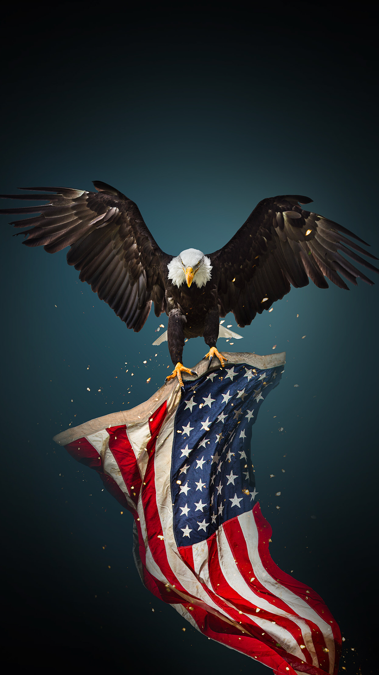 Aquila calva con bandiera americana, 1242x2208 Full HD Verticale, iPhone
