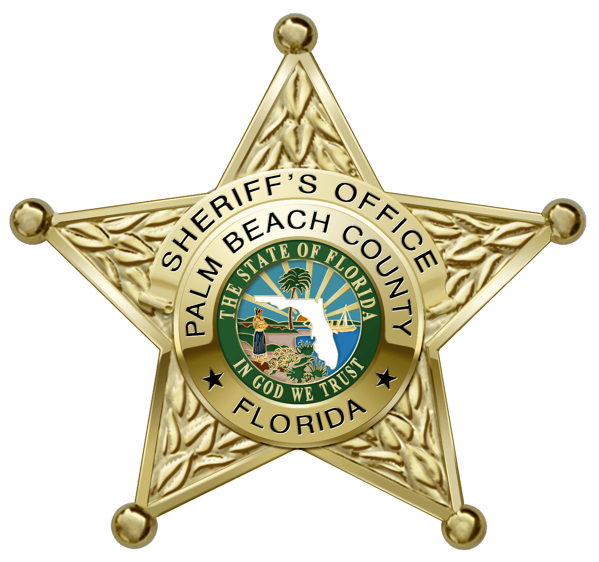 Distintivo Sceriffo Palm Beach, 1204x1130 HD, Desktop