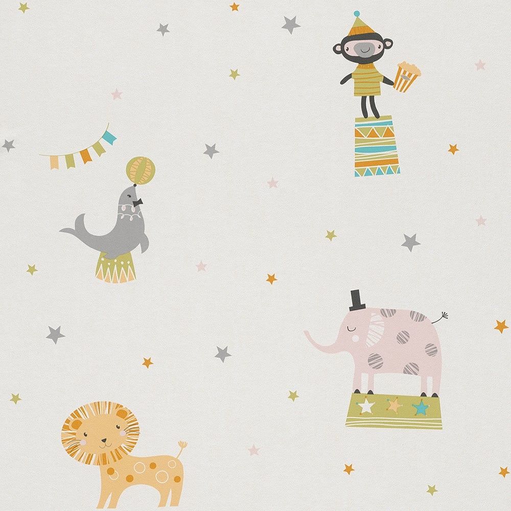 Animali da circo cartoon stelle, 1000x1000 HD, Desktop