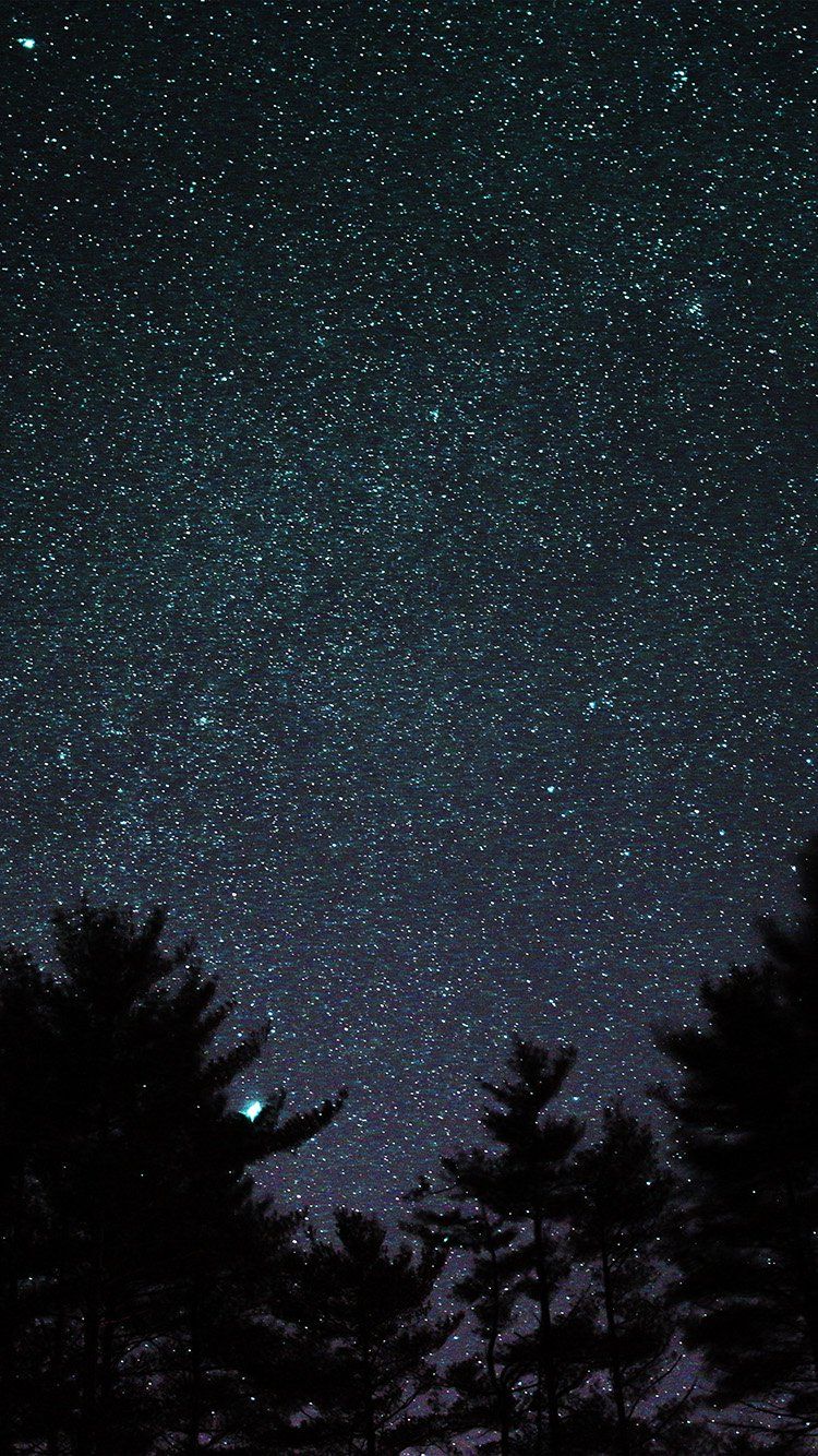 Cielo notturno stellato blu, 1686x2688 Verticale, iPhone Plus