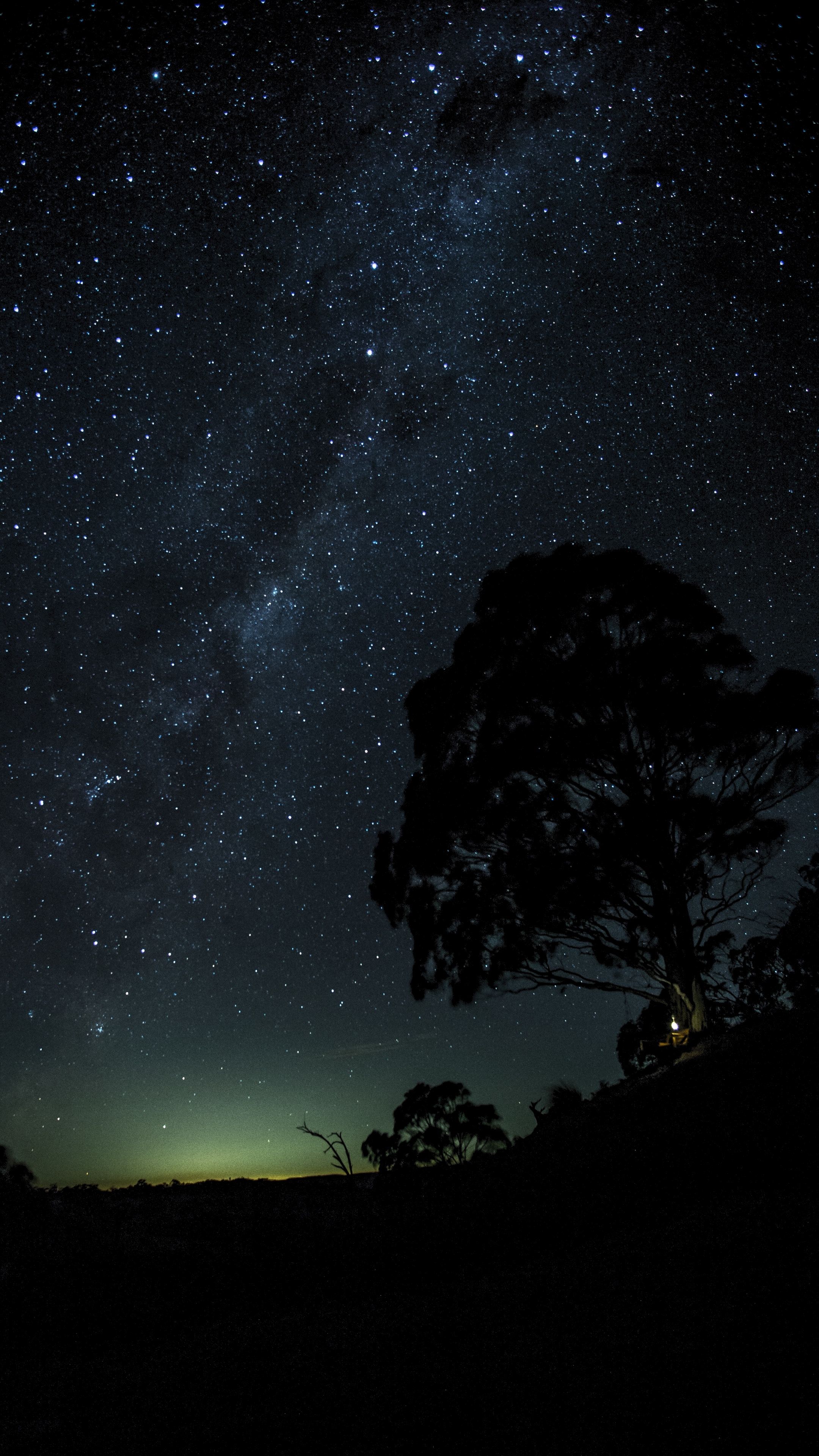 Cielo stellato con albero silhouette, 2160x3840 Full HD Verticale, iPhone