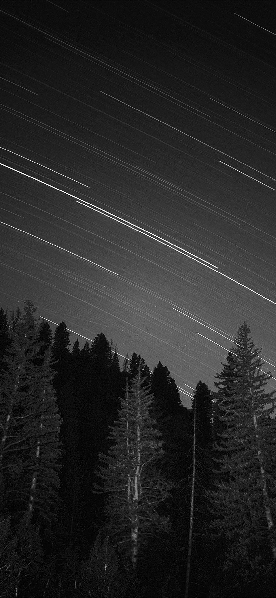Calvin e Hobbes stelle notturne, 744x1392 Full HD Verticale, iPhone Pro Max
