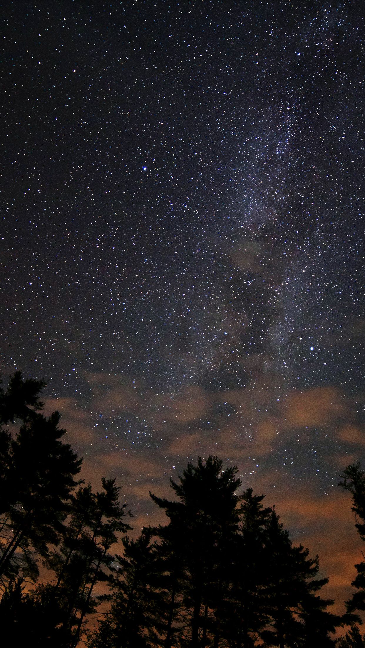 Cielo stellato con silhouette alberi, 1242x2208 Verticale, iPhone Pro Max