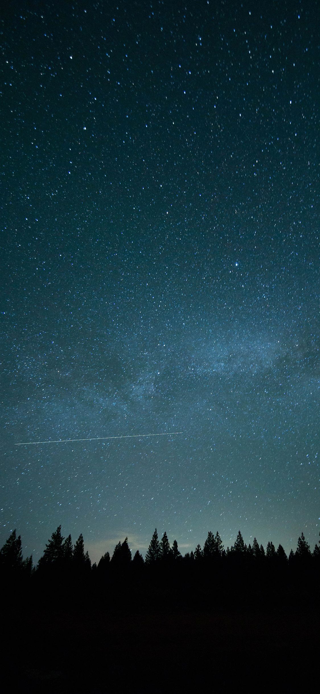 Cielo stellato con foresta, 1125x2436 Full HD Verticale, iPhone Pro