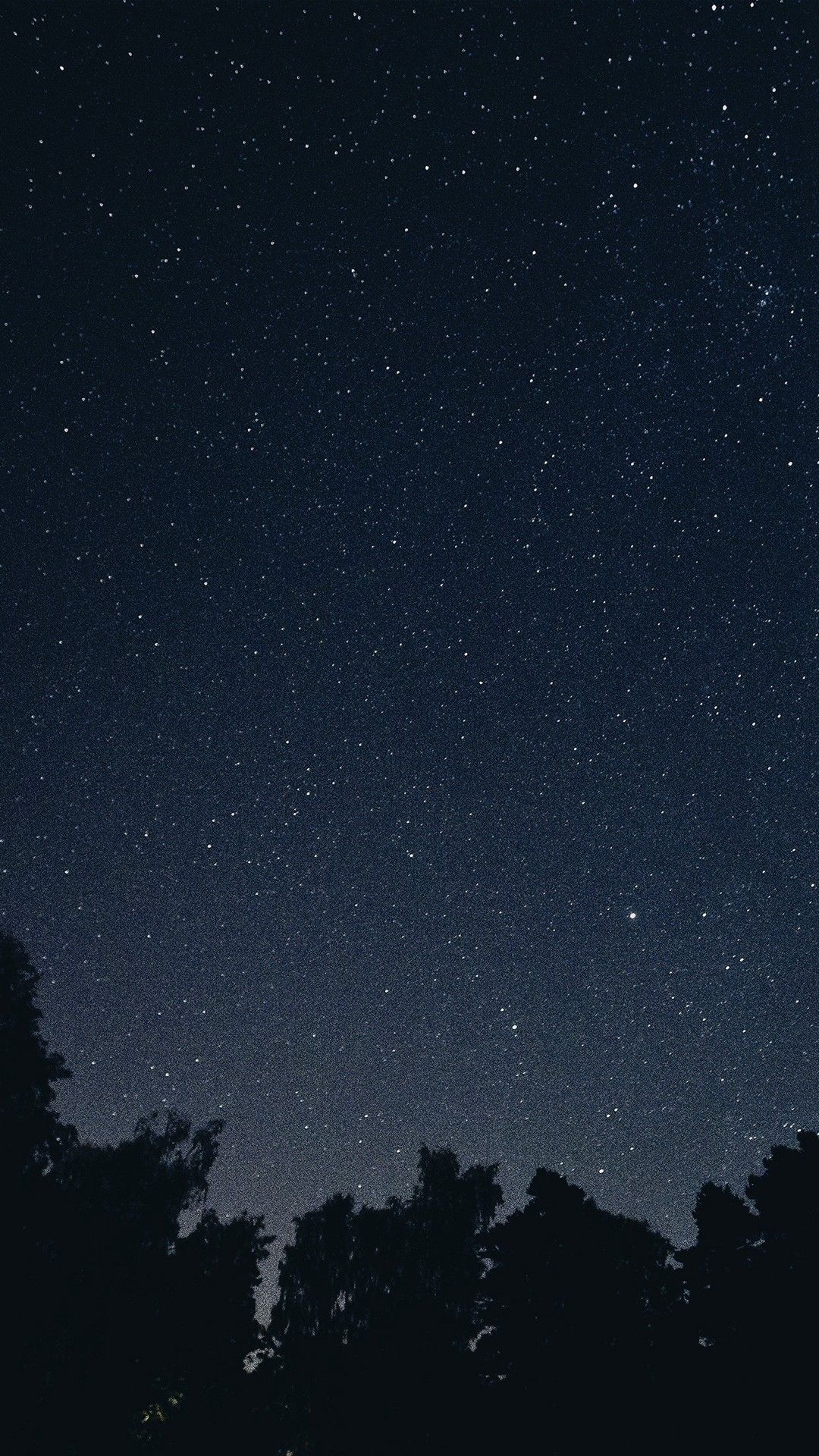 Cielo stellato notturno con alberi, 1080x1920 Full HD Verticale, iPhone