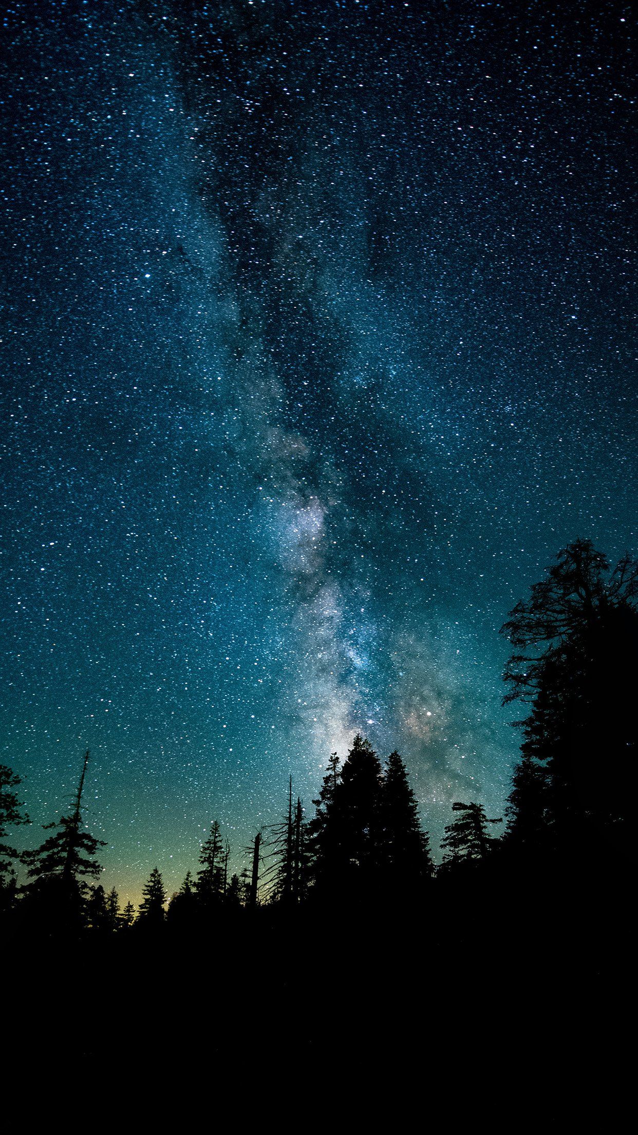 Via Lattea sopra foresta notturna, 1242x2208 Verticale, iPhone Plus