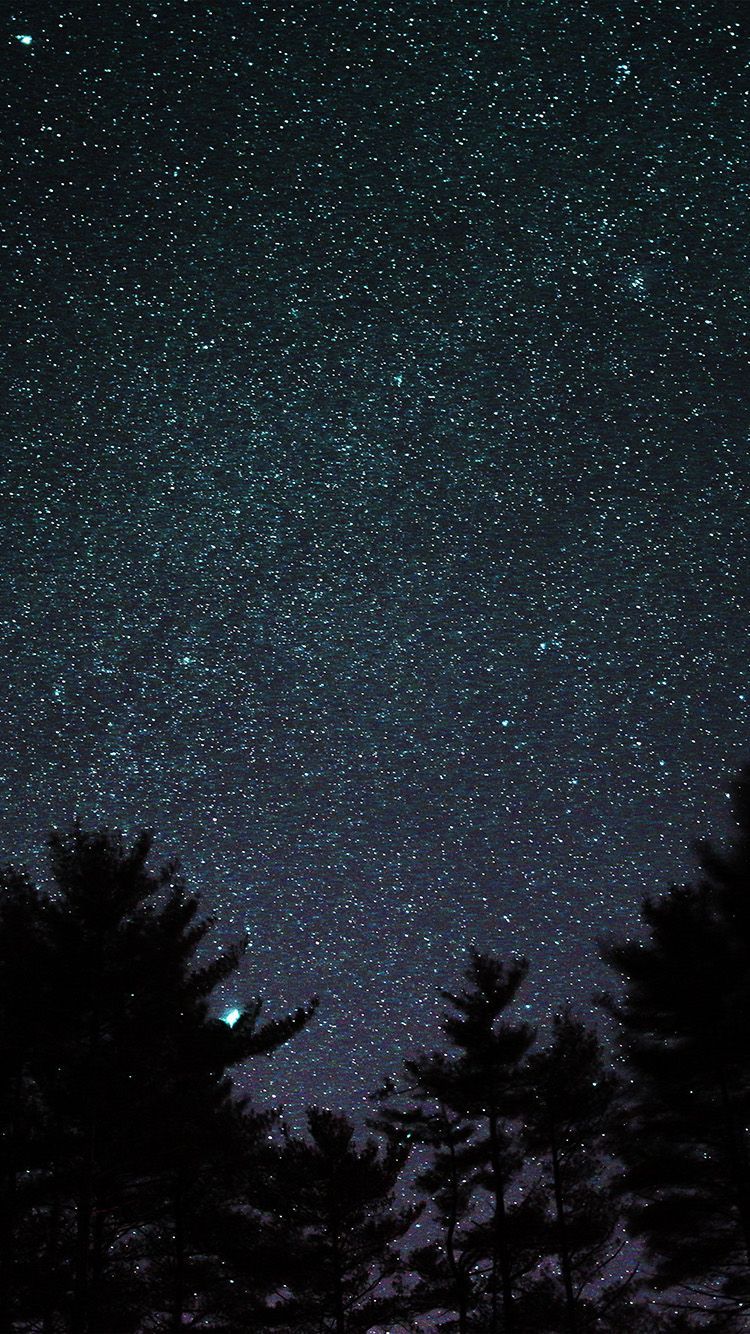 Cielo stellato notturno con alberi, 750x1334 Verticale, iPhone Air