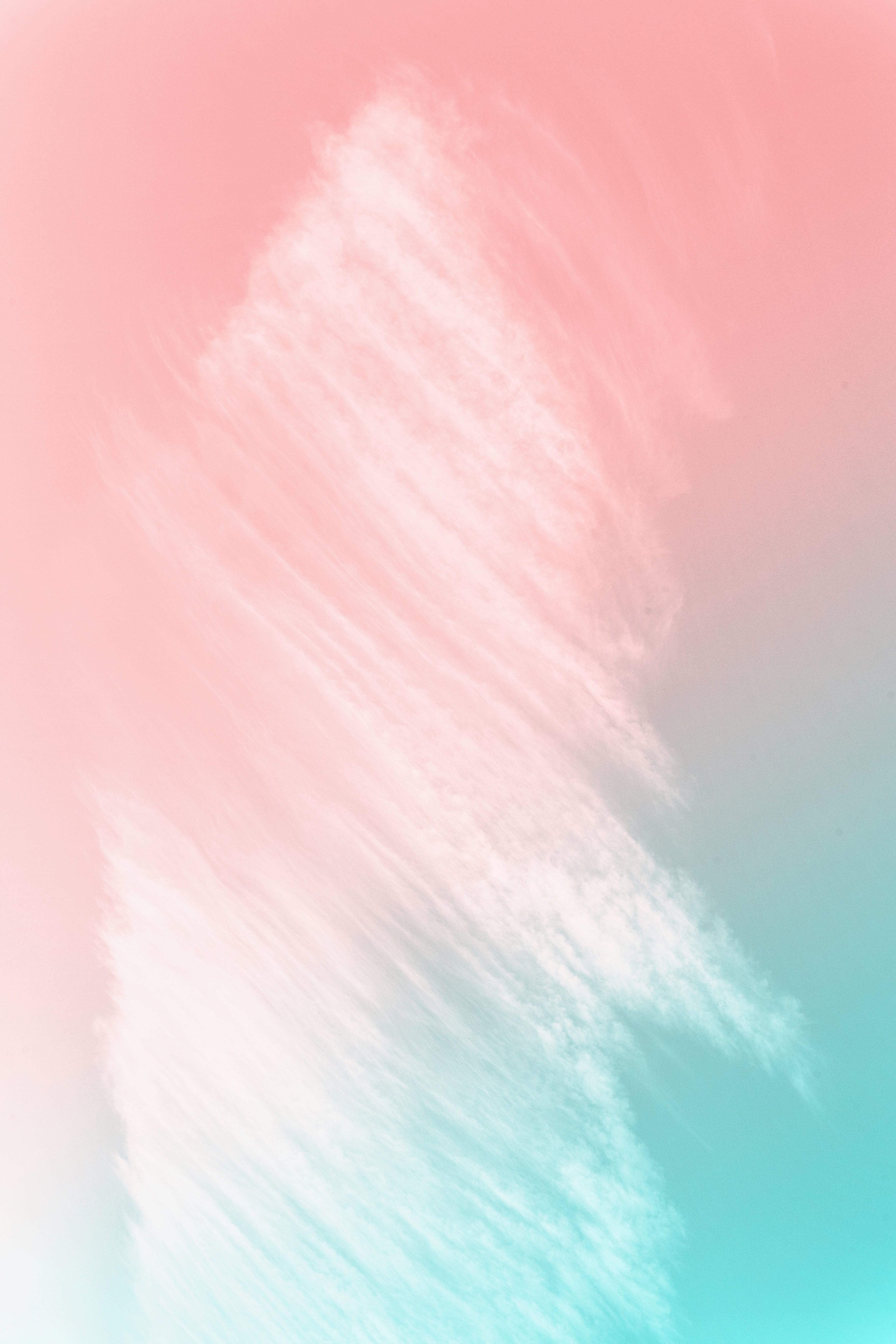 Rosa Eleganti, 736x1308 Verticale, Telefono