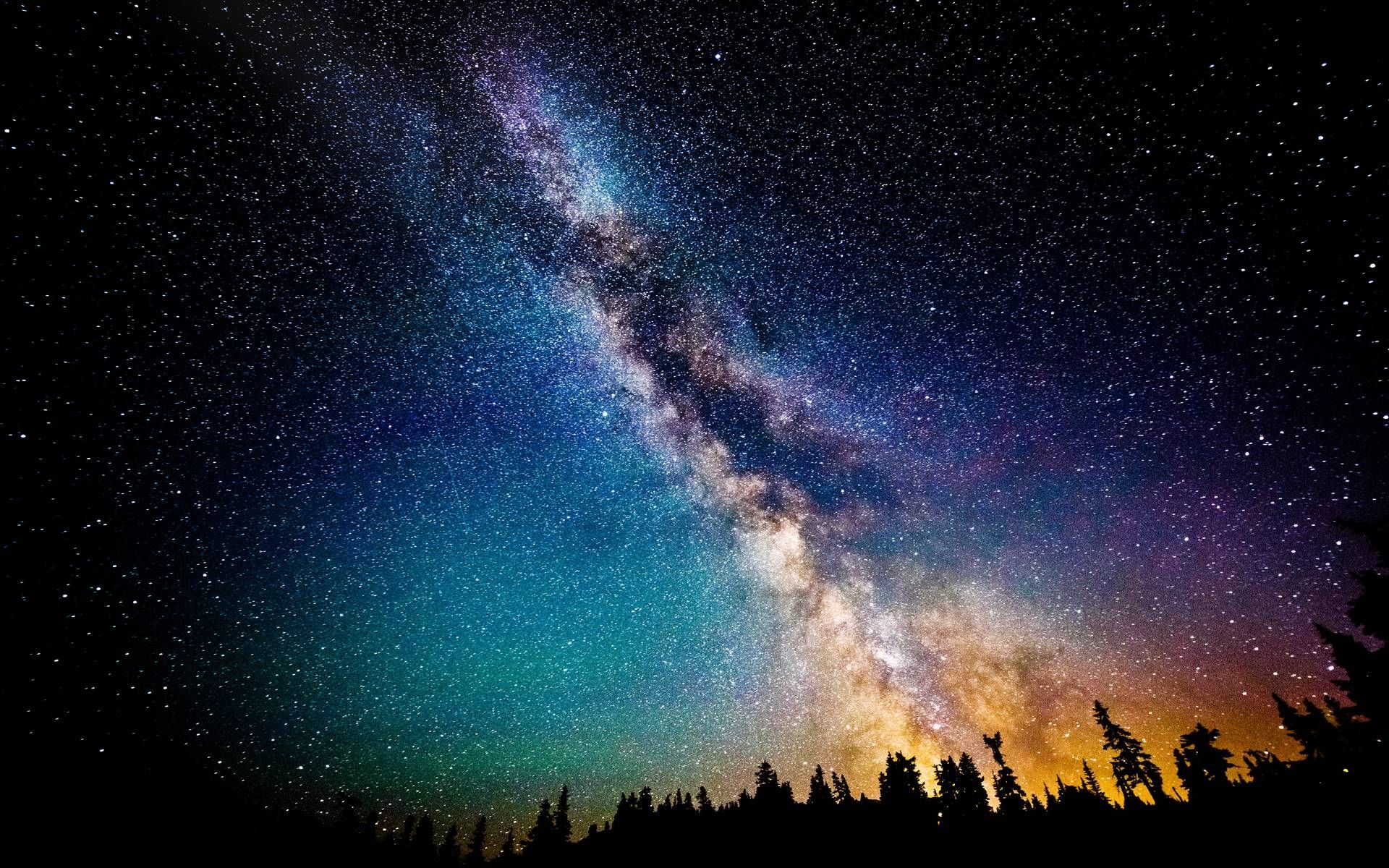 Via Lattea sopra silhouette alberi, 1920x1200 Full HD+, Desktop